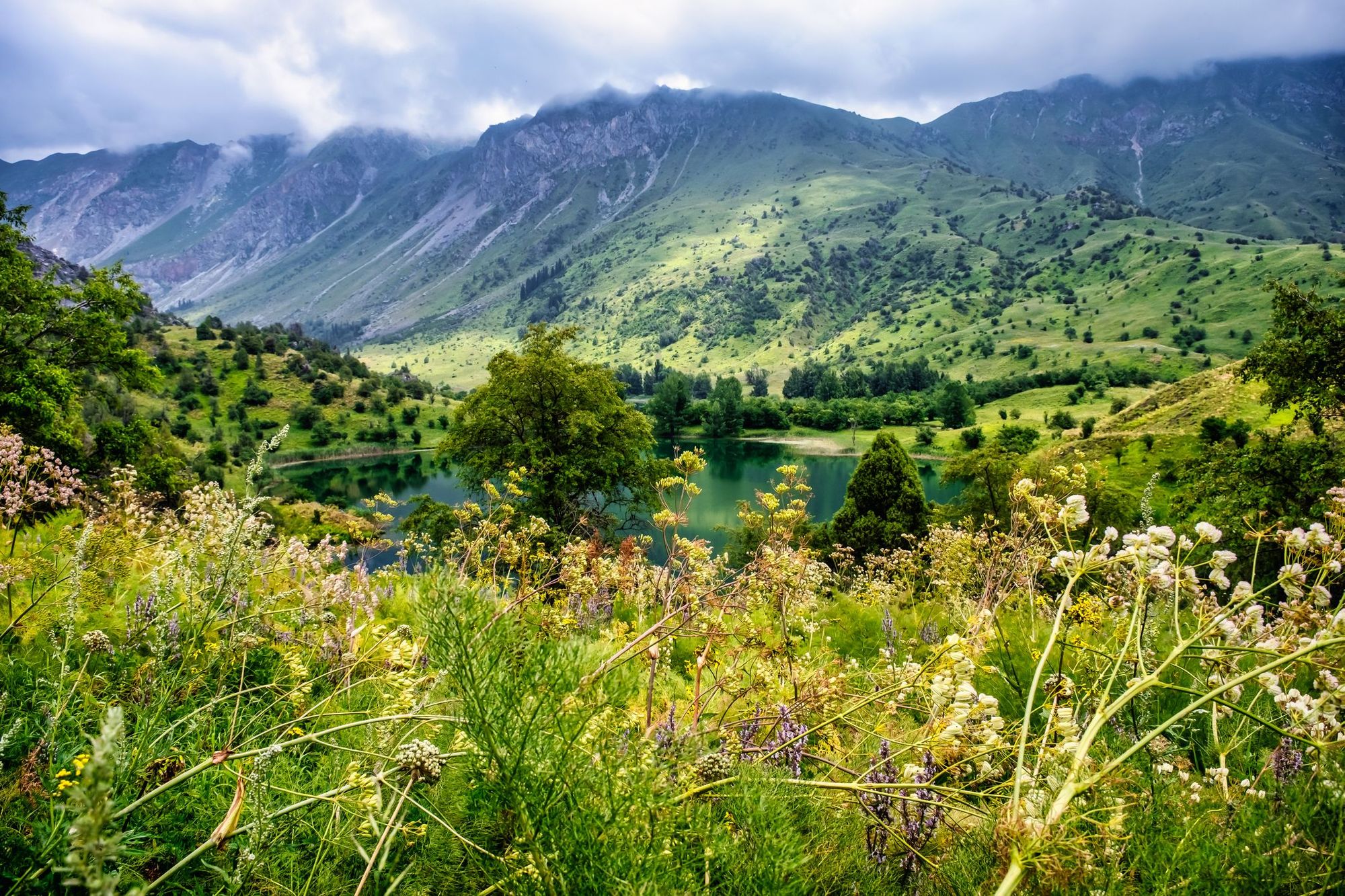 A lake surrounded by mountains and verdant meadow in the Sary-Chelek Biosphere, Kyrgyzstan