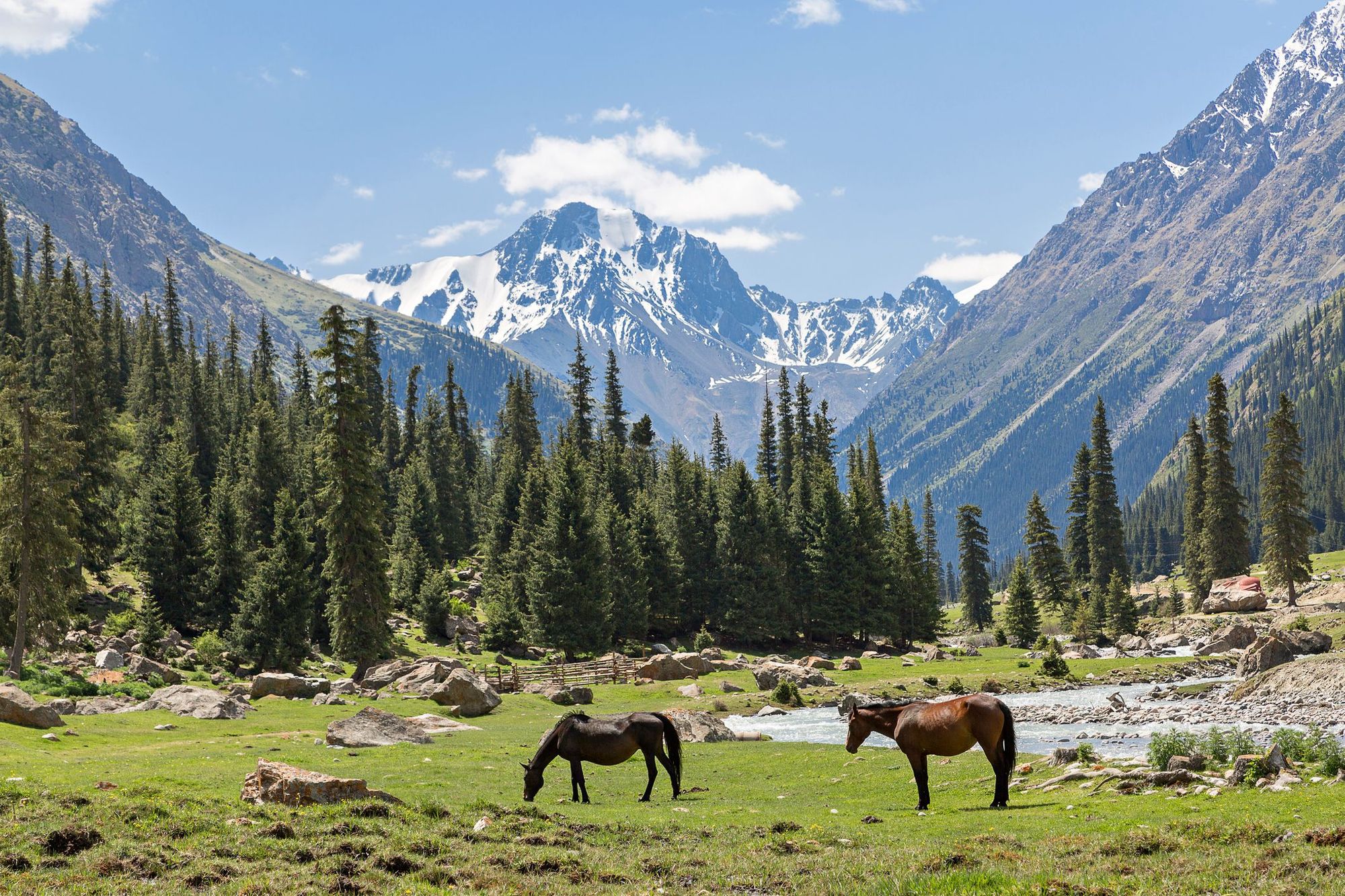 tian shan tours