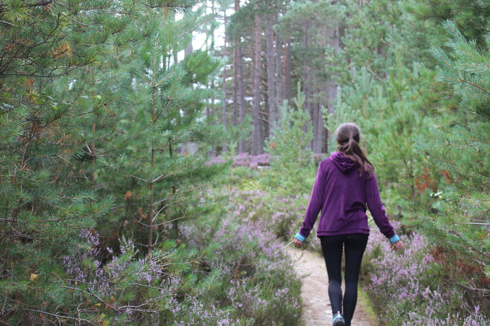 A woman hiker on the Uath Lochans trail in the Cairngorms, seen from behind.