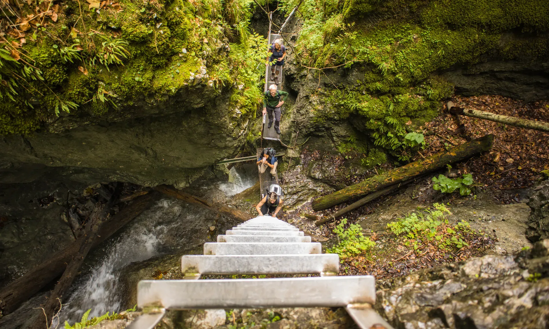Adventurous hikers at the bottom of a ladder in a gorge