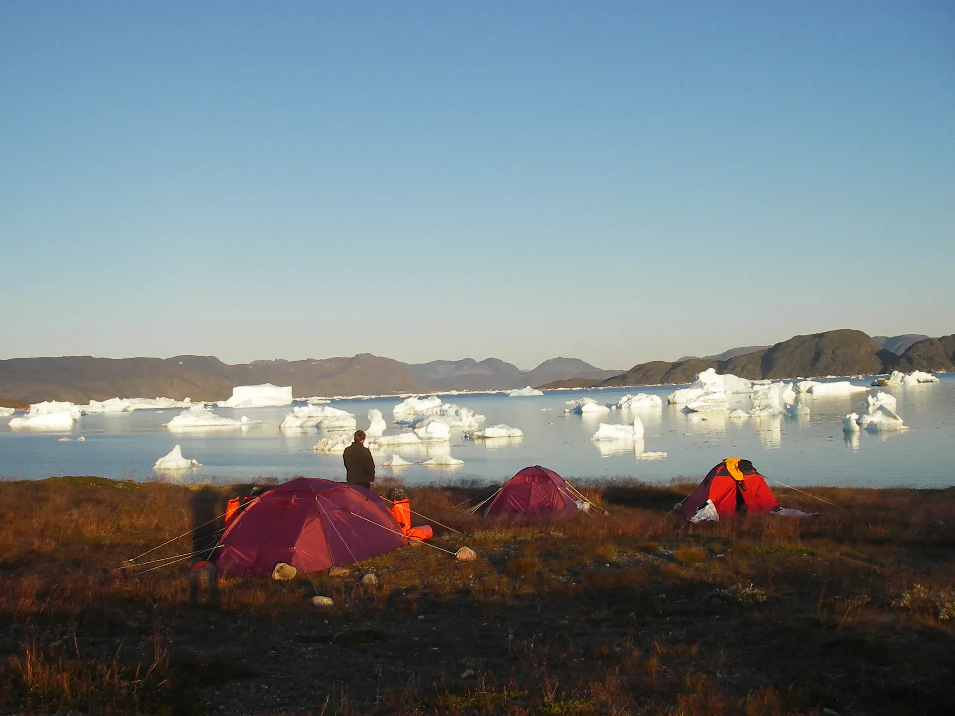Tents in front of fjord with icebergs