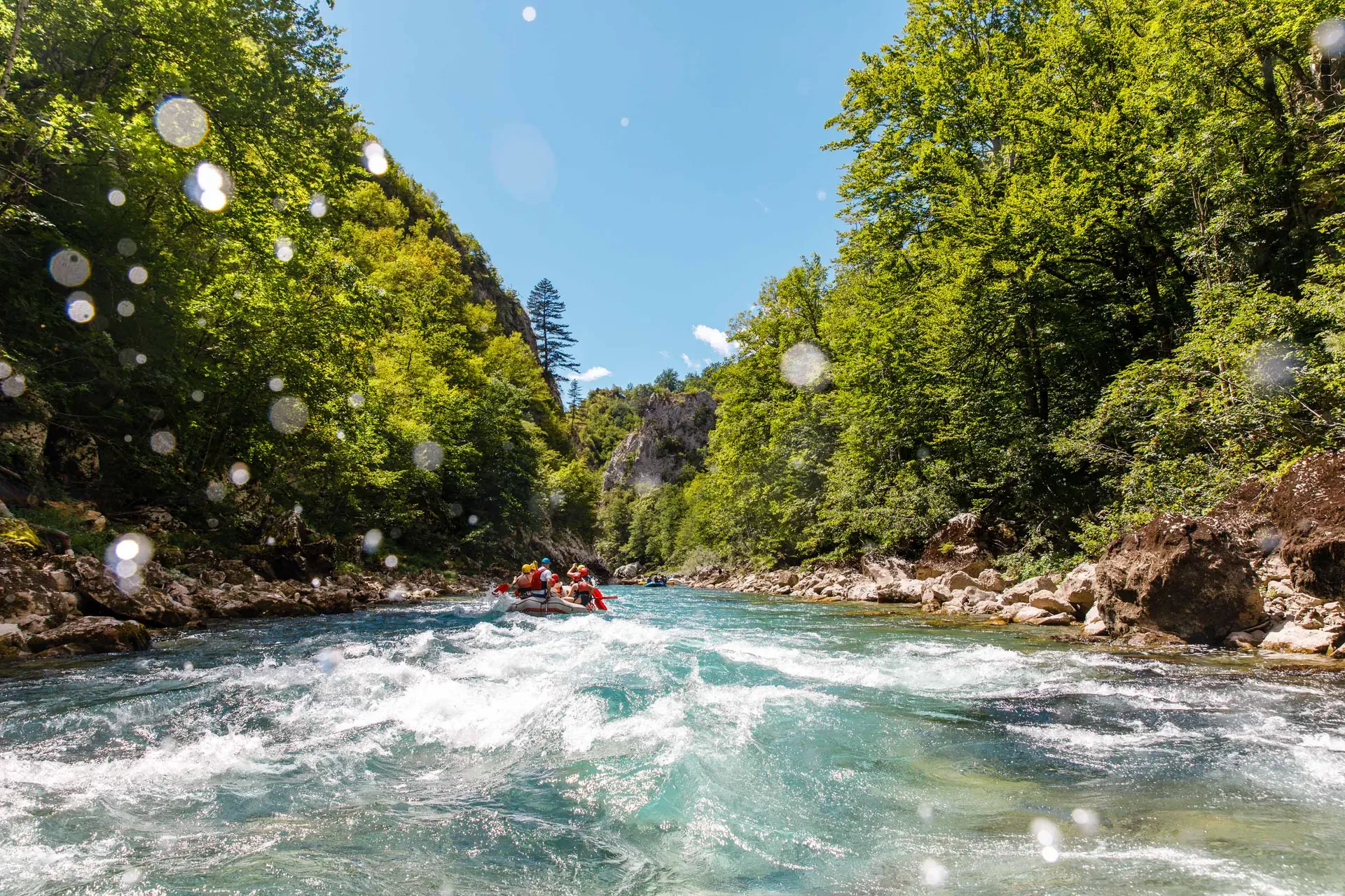White water rafting down the Tara River in Montenegro