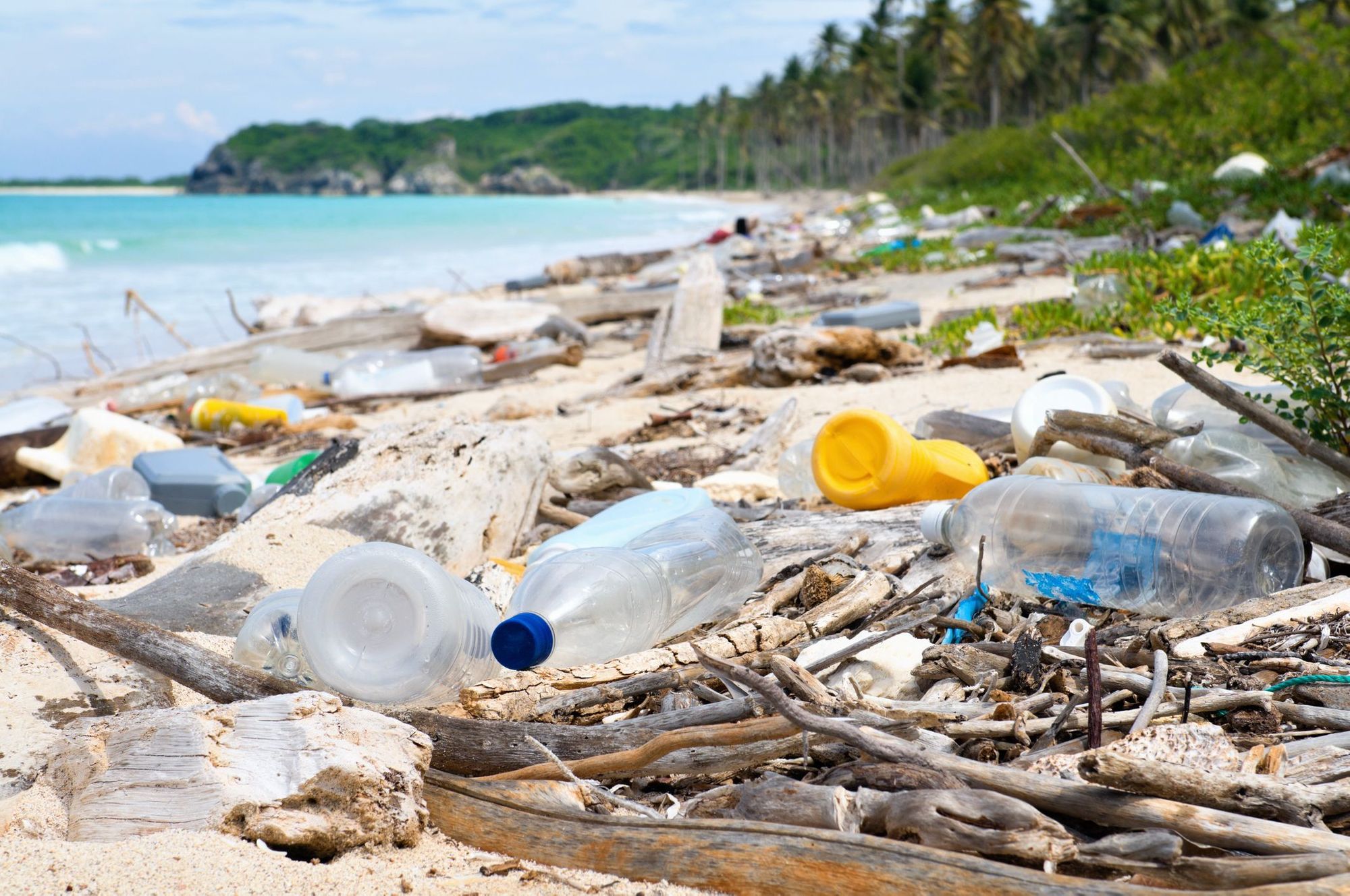 Single use plastic waste on a tropical beach.