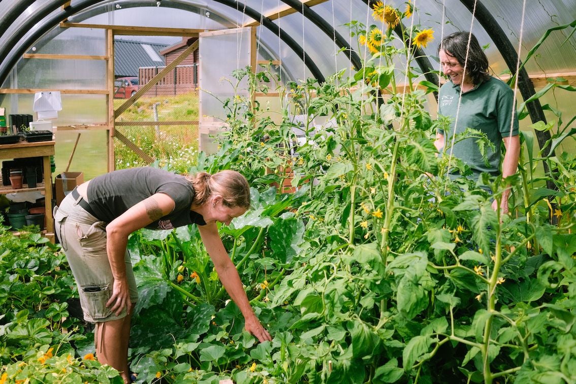 Sandra Baer and Lynn Cassells in their Polycrub on Lynbreck Croft, which is full of vegetables.