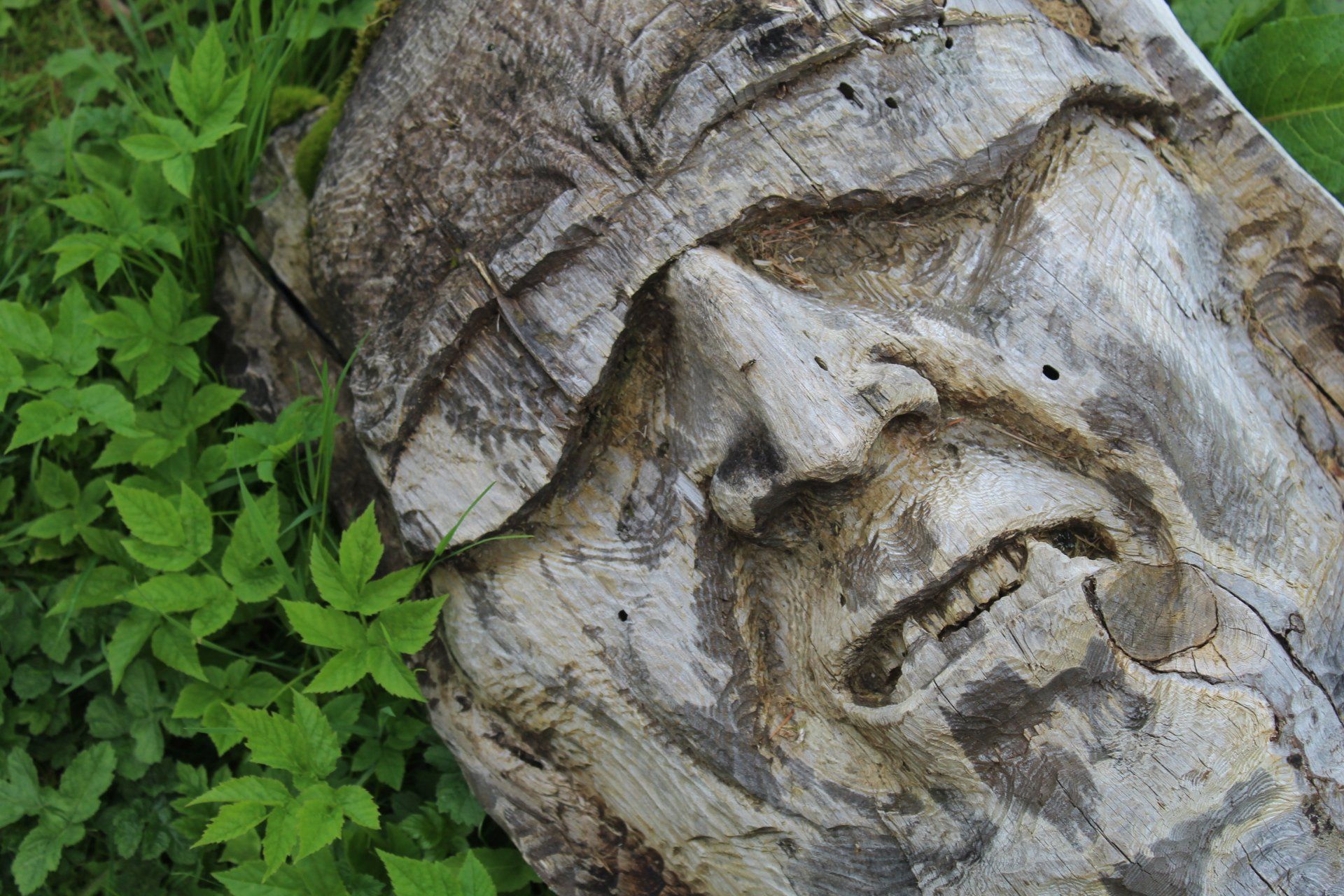 The anguish and torment is often clear to see on the faces of Frank Bruce's sculptures.