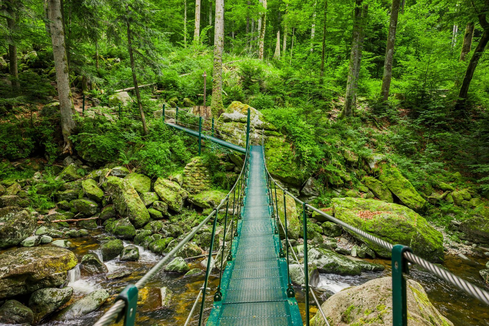 A scenic suspension bridge in the Buchberger Leite in the Bavarian Forest.