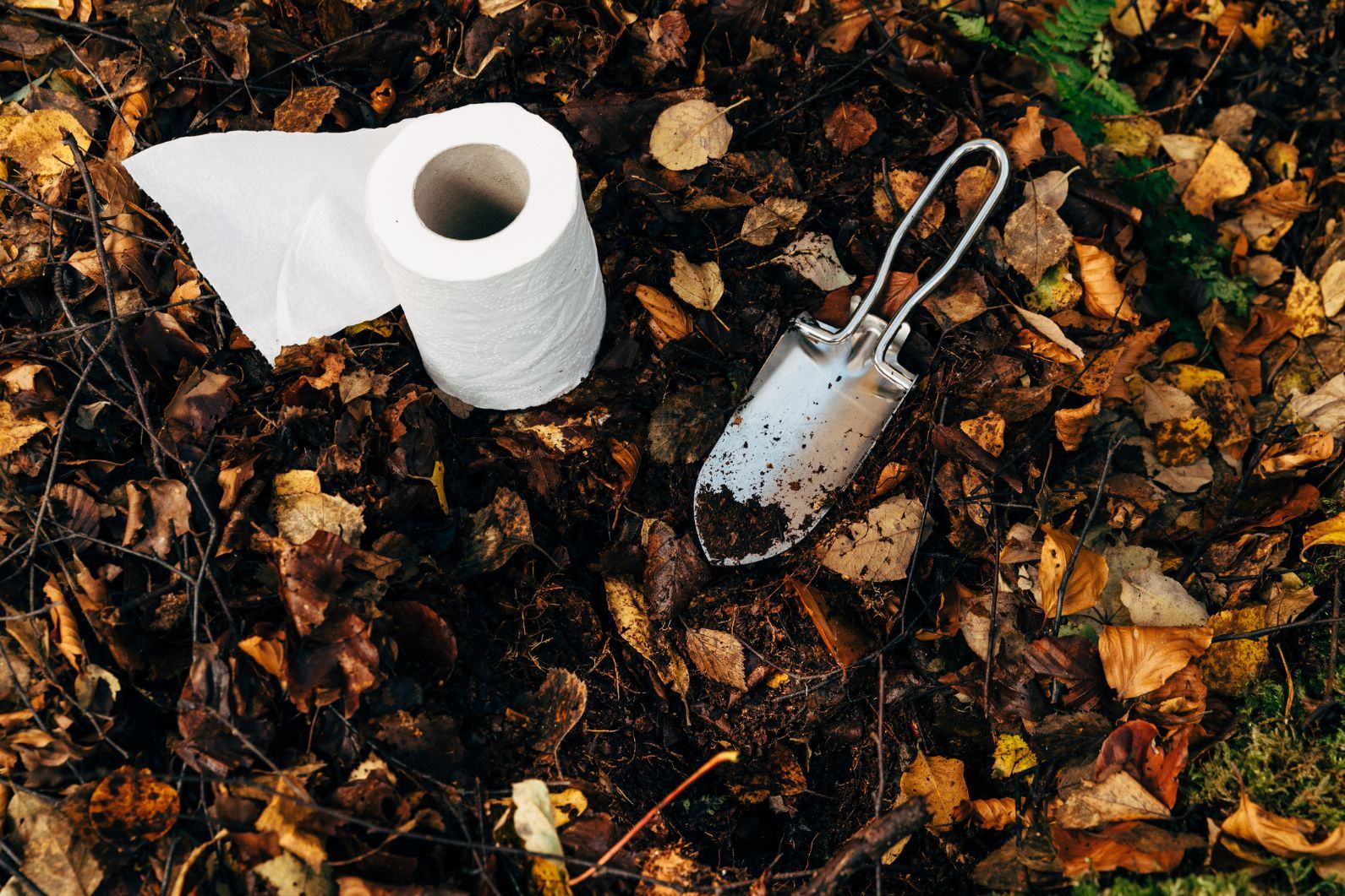 How to Poo Outdoors: A Deep Dive into Human Faeces in Our Wild Places