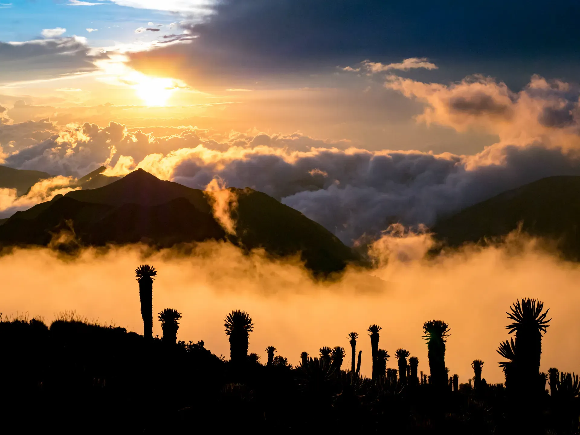 Paramillo del Quindio (4750m) is one of the highest mountains in the Los Nevados National Natural Park. Photo: Getty