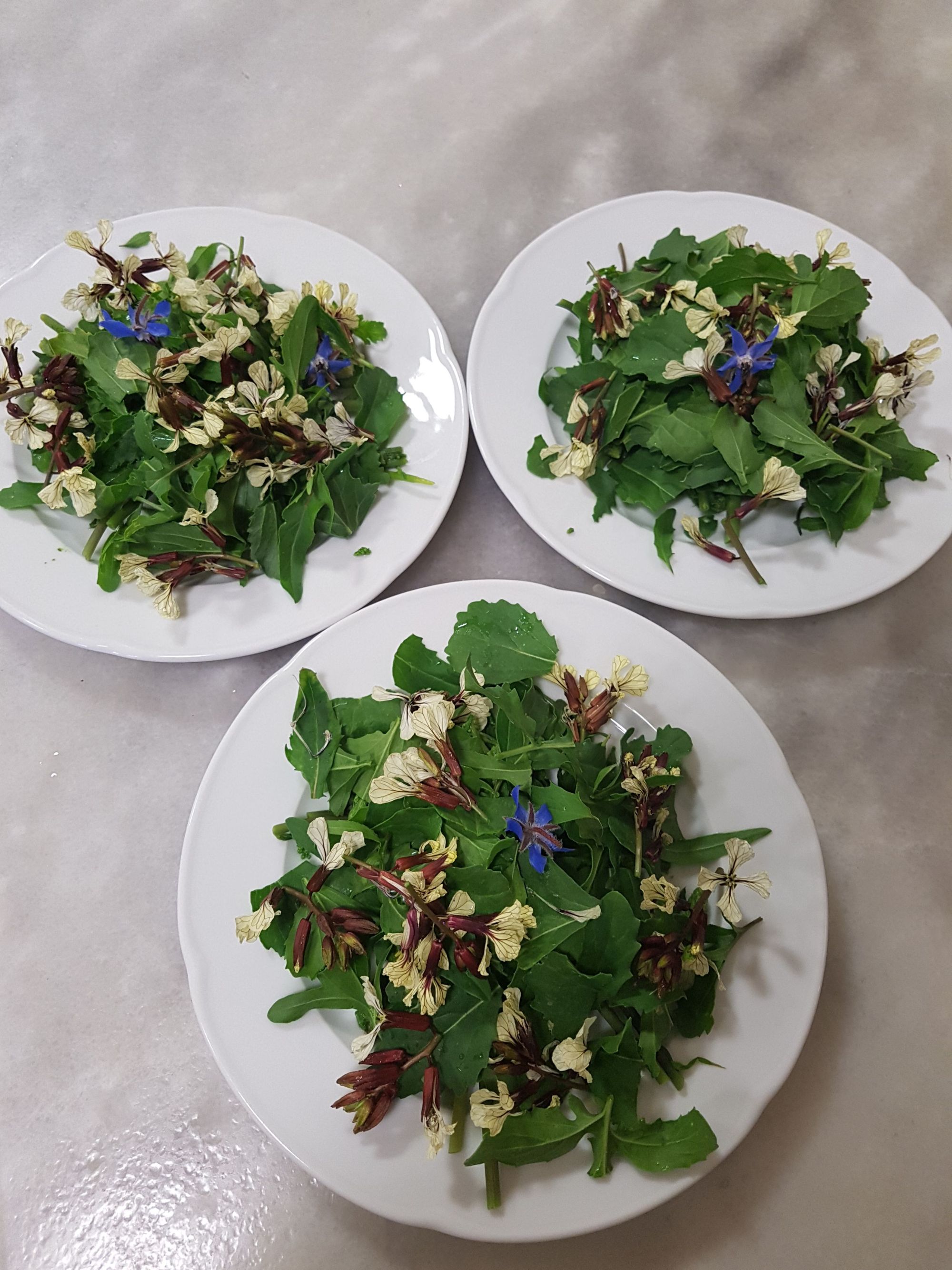 A salad made of cultivated and wild greens