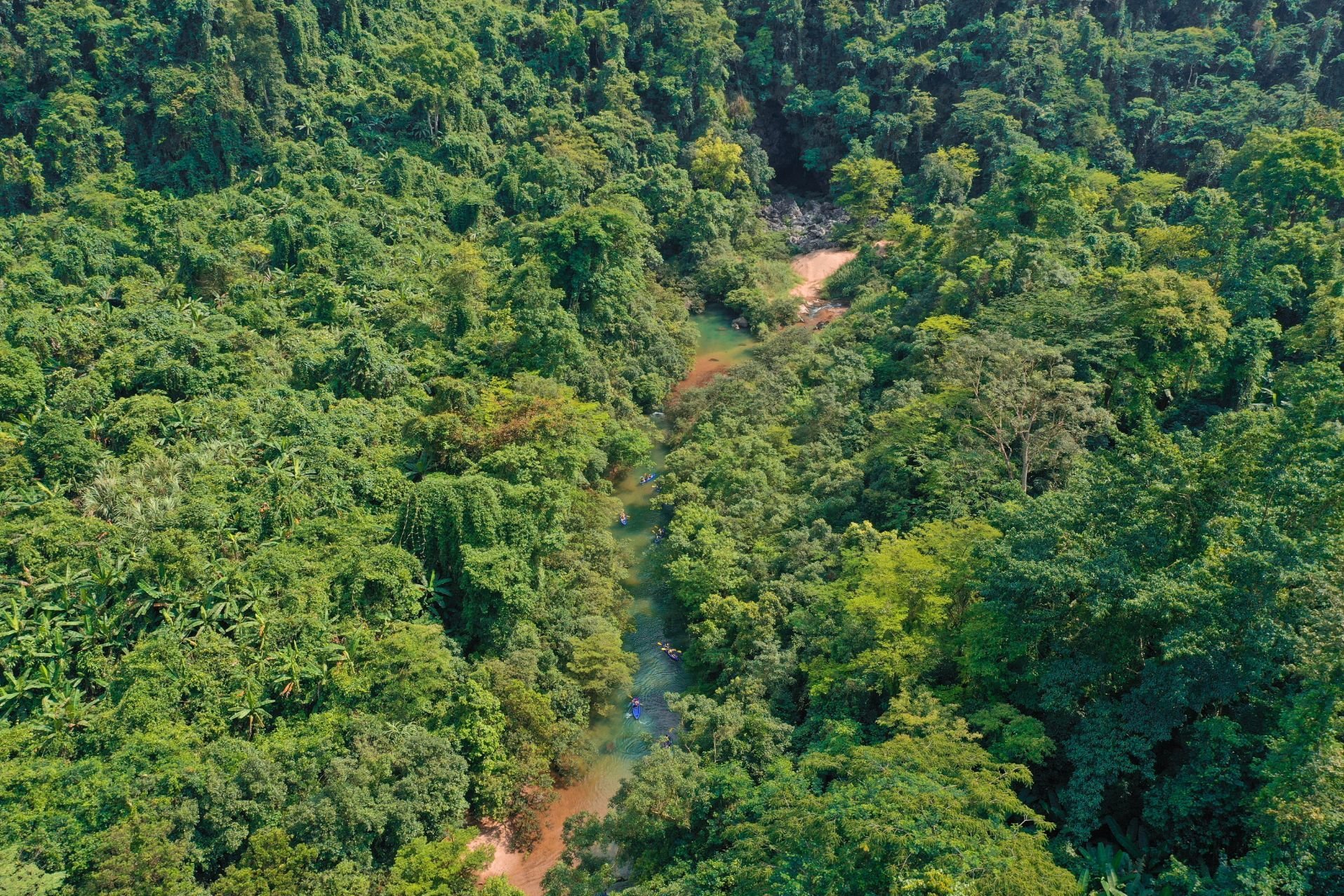 The approach to Tra Ang cave, hidden deep in the Phong Nha-Kẻ Bàng national park.