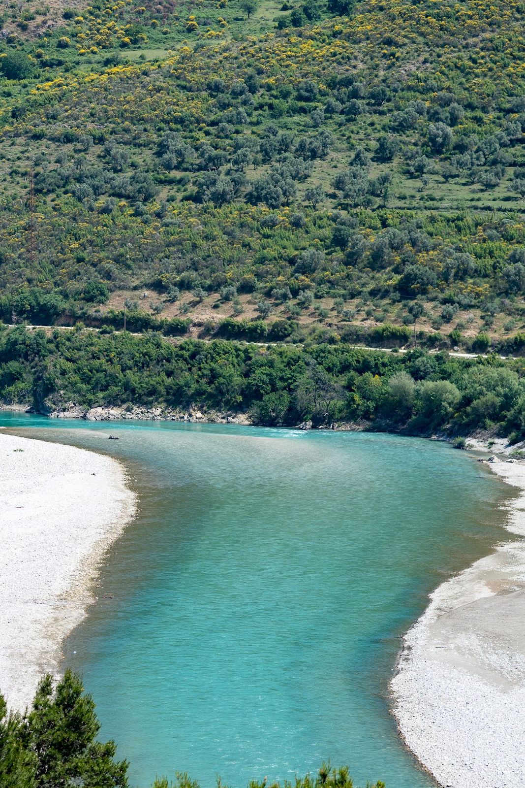 The turquoise of the Vjosa draws the eye and people here. Photo: Hannah Bailey