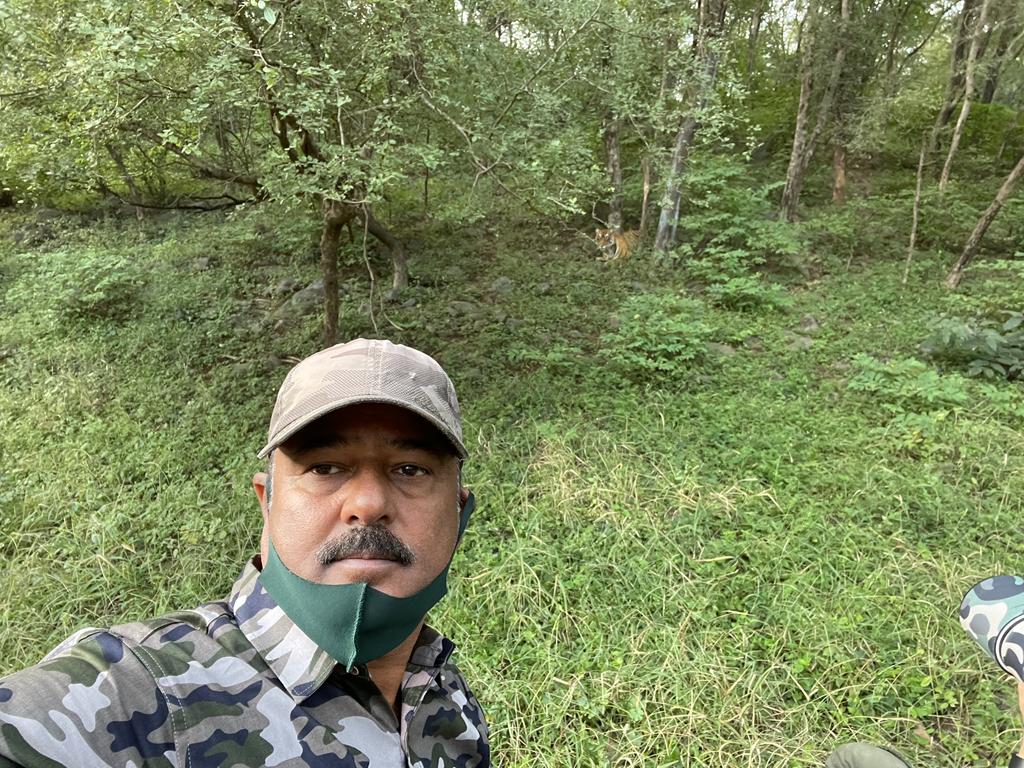 A guide at Ranthambore National Park takes a selfie with a tiger in the background.