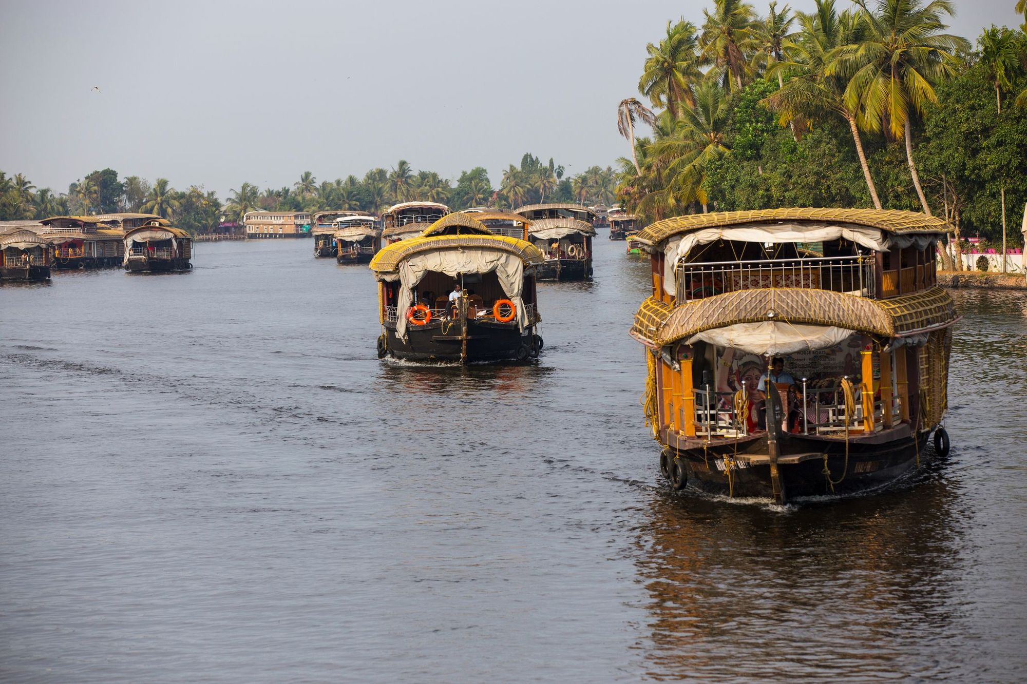 Lots of houseboats on the backwaters in Kerala.