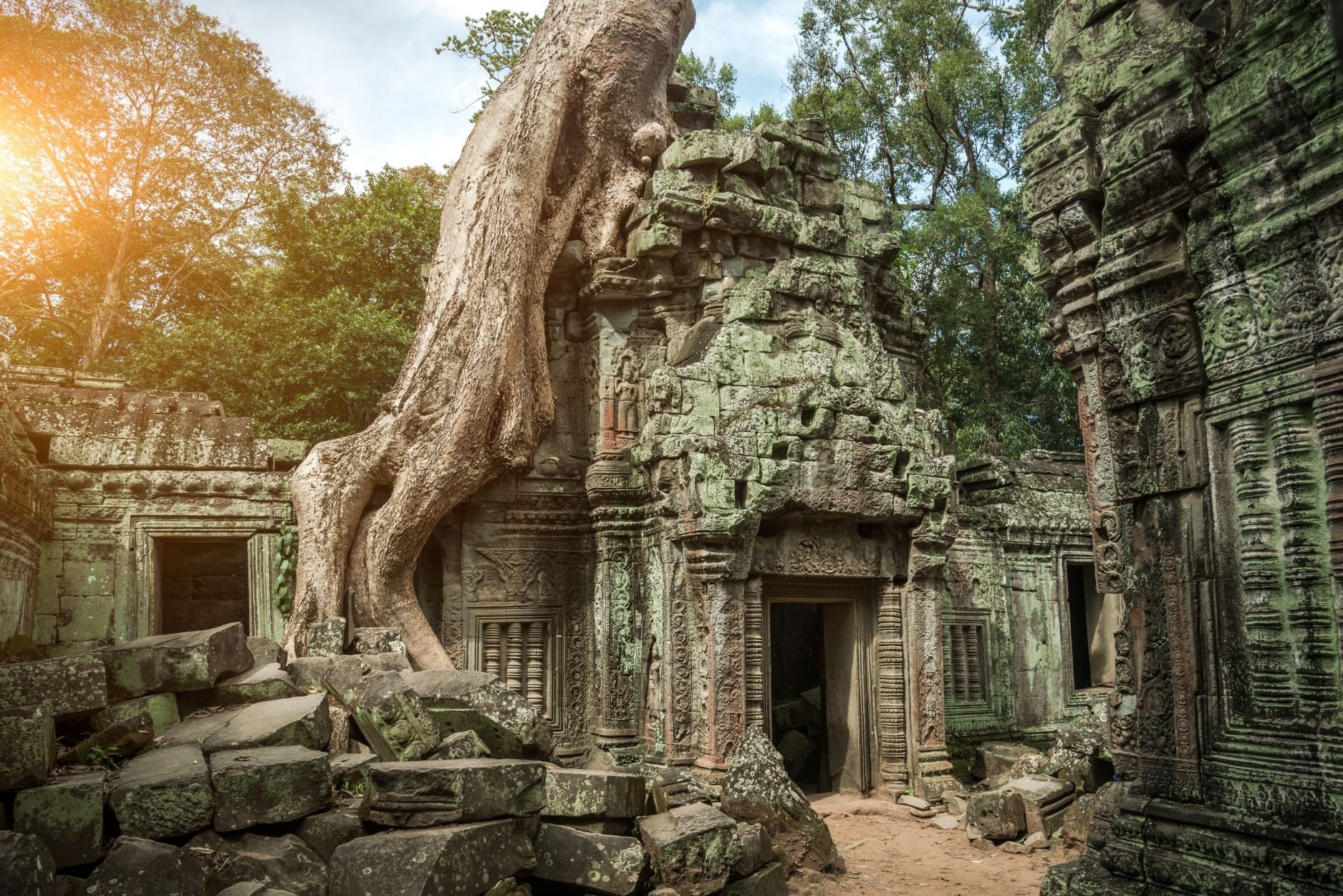 A tree wraps around one of the temples of Angkor, reclaiming the temple for the jungle.