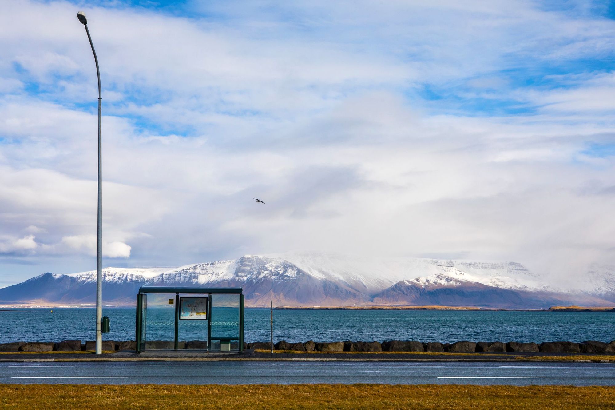 A bus stop on Reykjavik Harbourfront, Iceland.