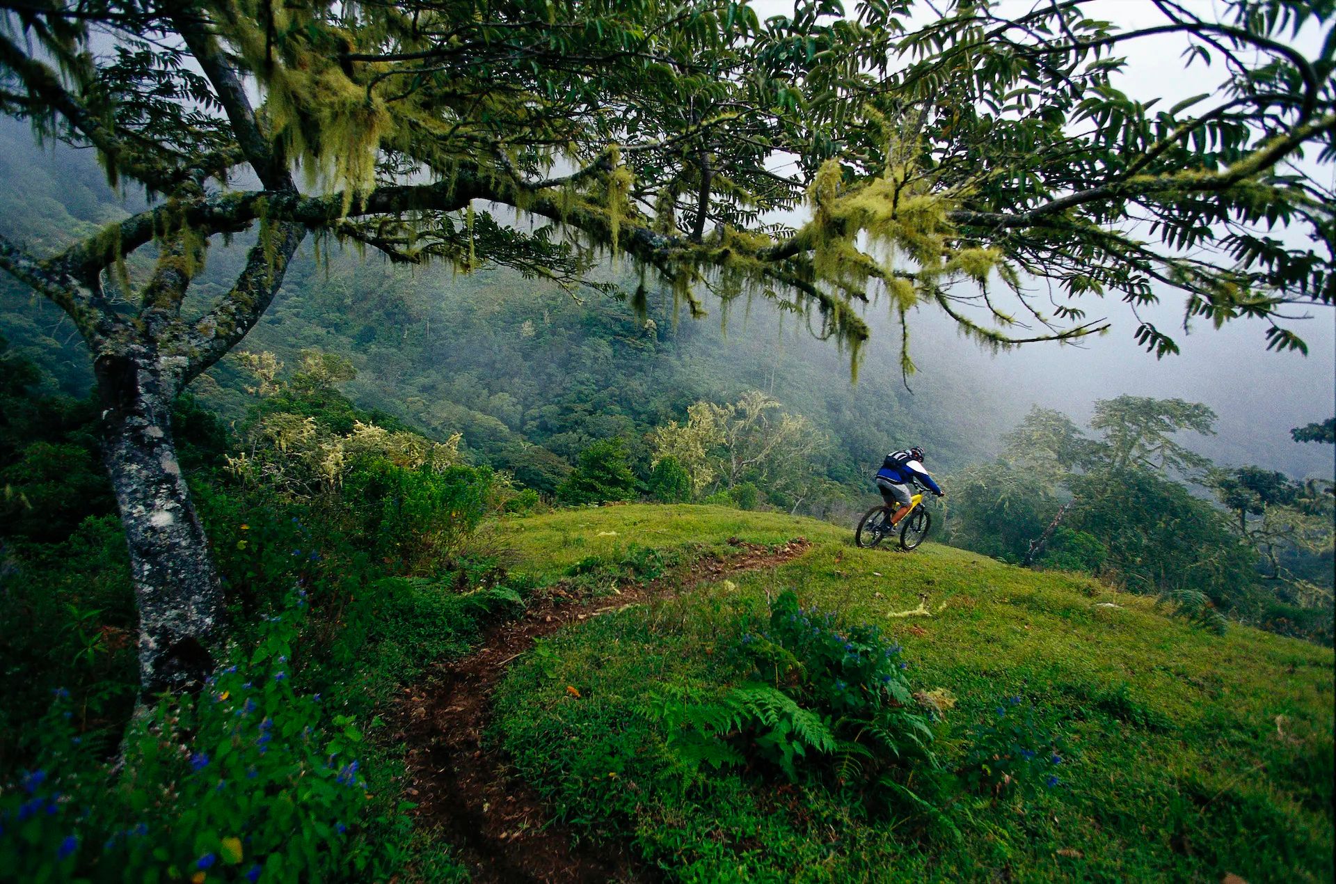A cyclist on the trail in the Costa Rican rainforest.