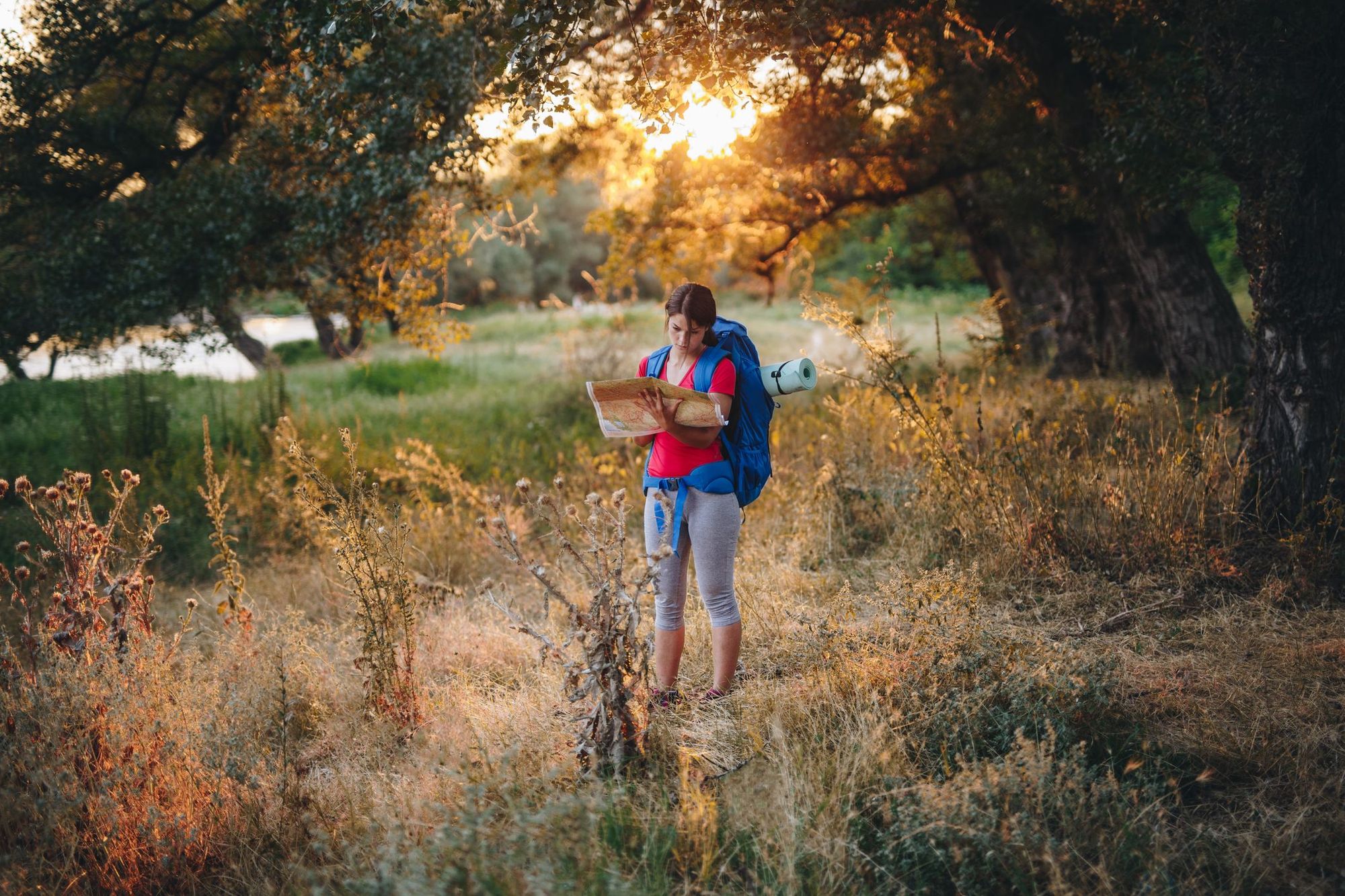 A female hiker looks at a map in the woods.