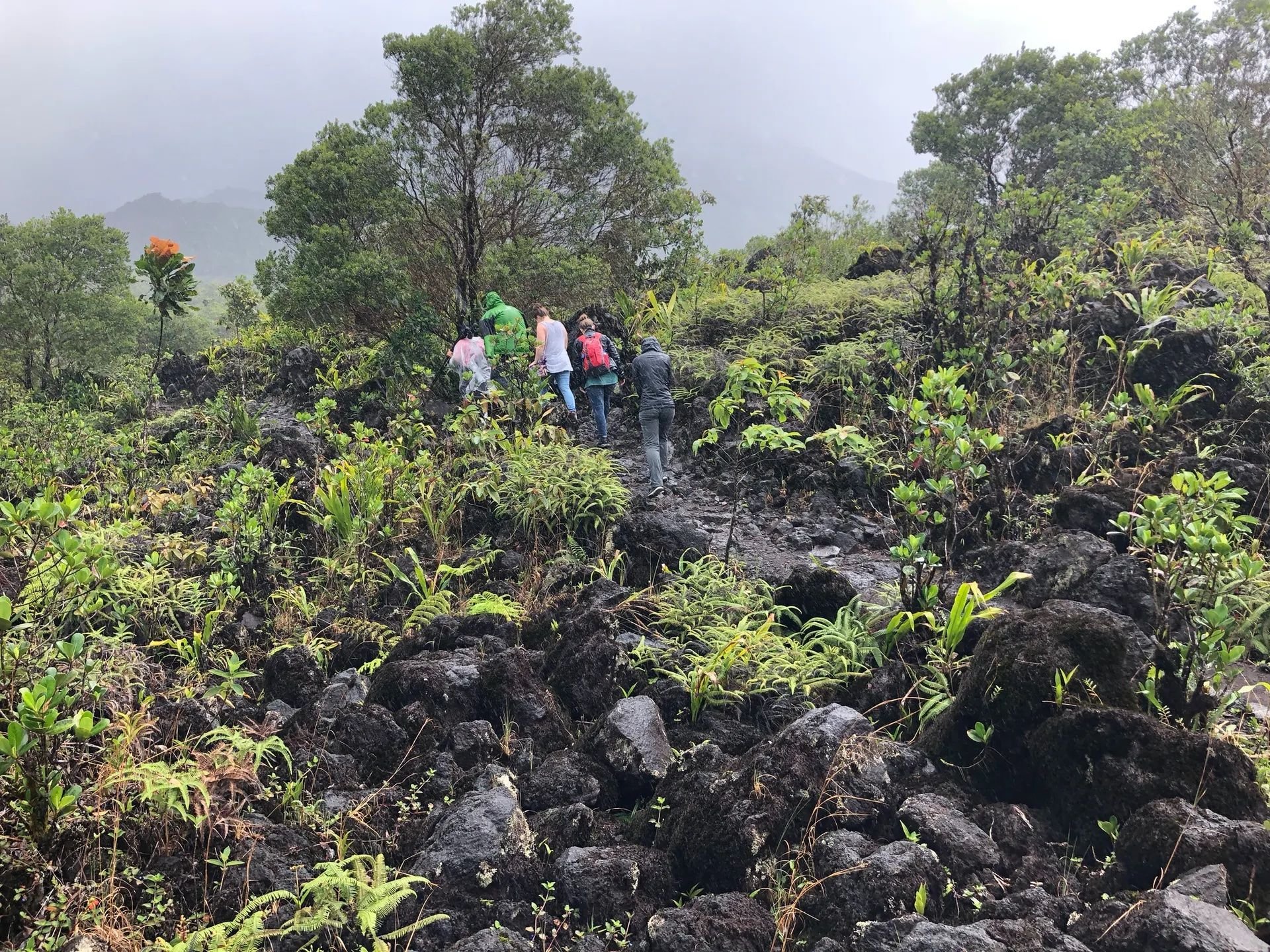 Hikers along the Arenal 1968 trail, Costa Rica, crossing the lava fields caused by the 1968 eruption