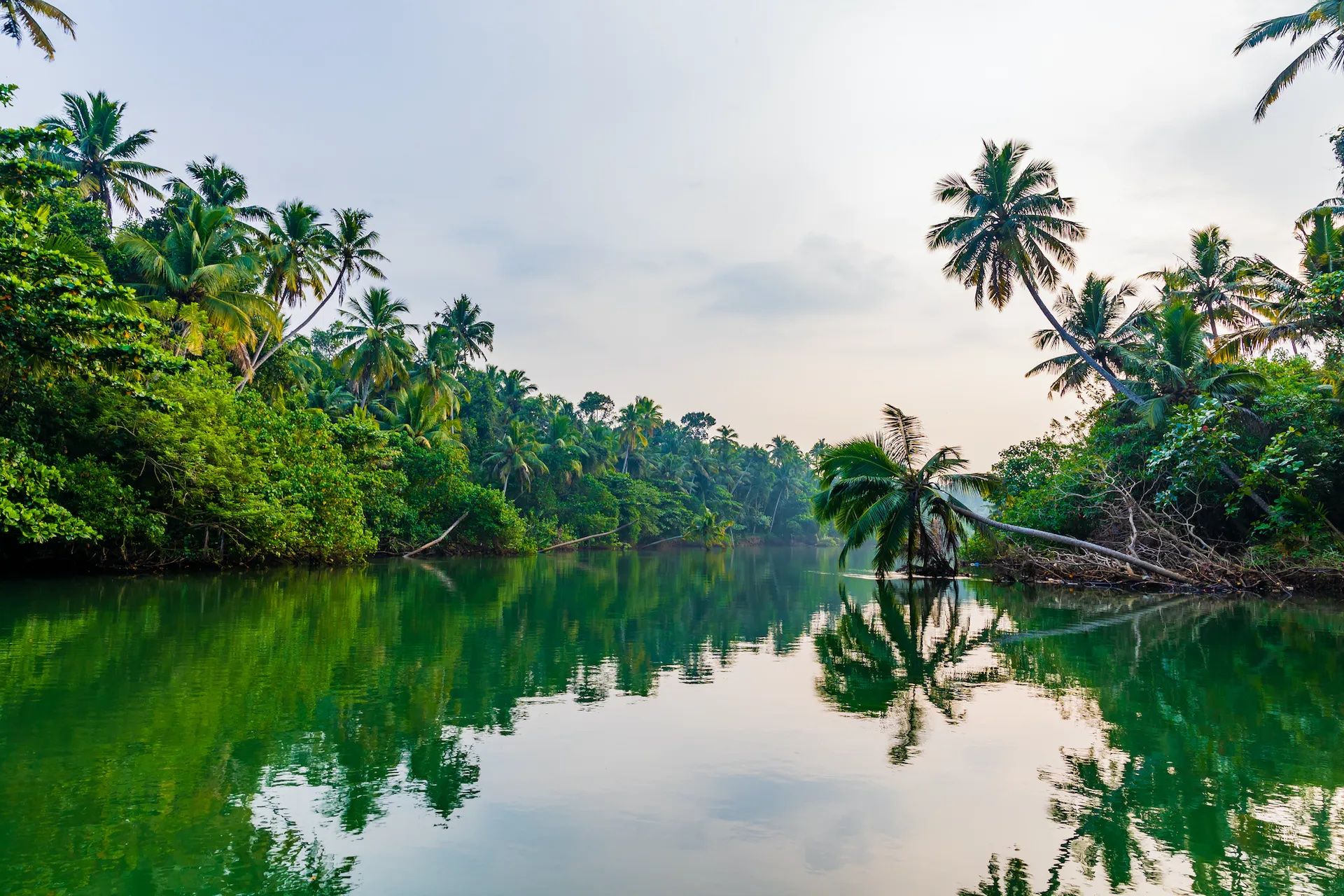 A quiet backwater lagoon in Kerala, India