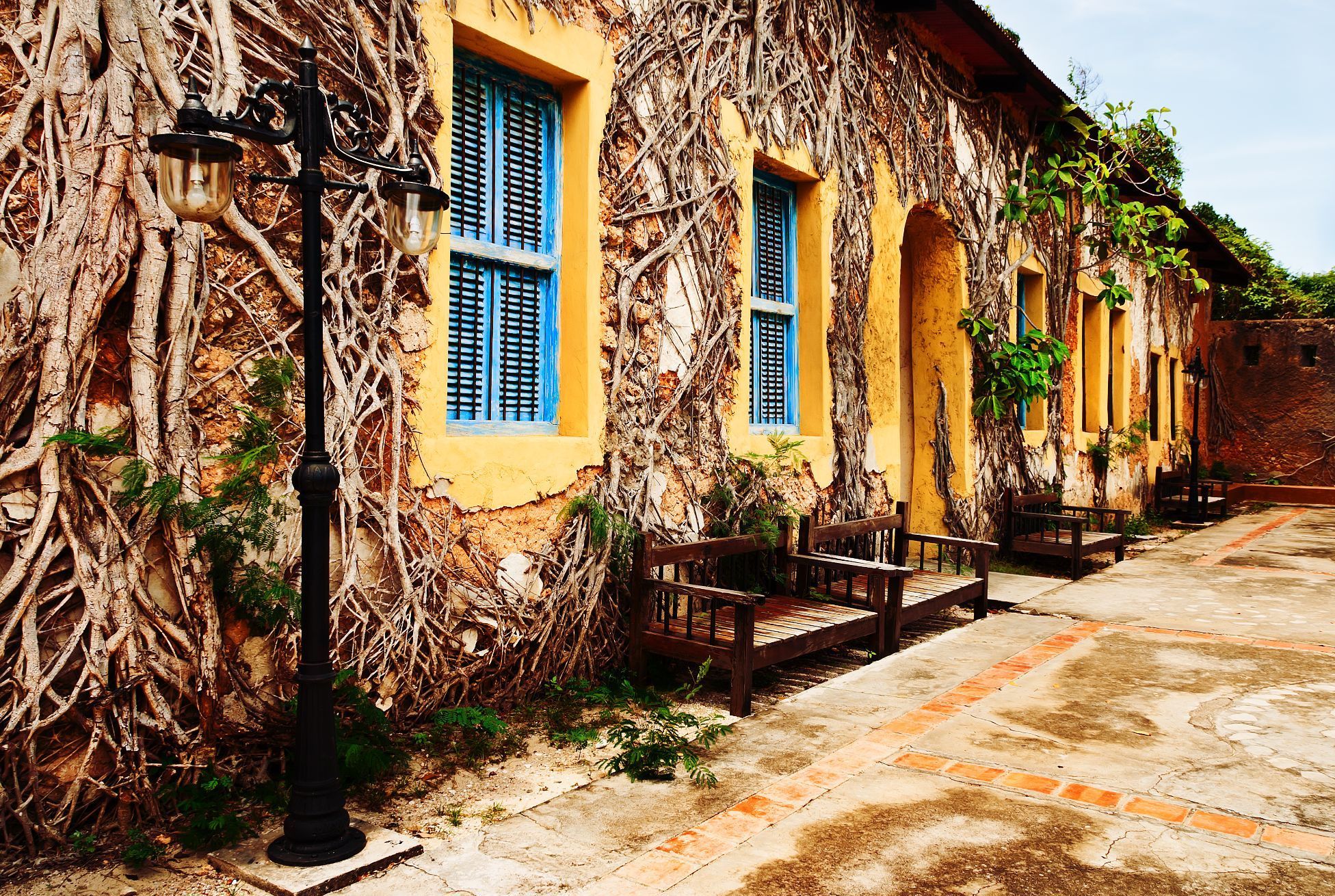 Walls of the prison on Prison Island, Zanzibar, ivy vines covering the cracked plaster.