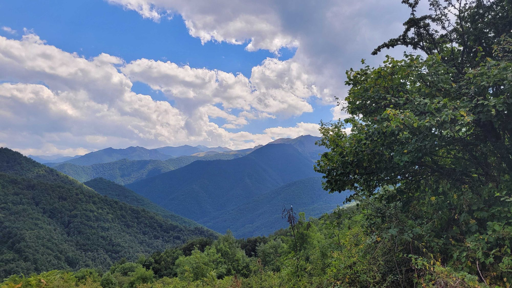Green, forested mountains to in the south of the Picos de Europa National Park