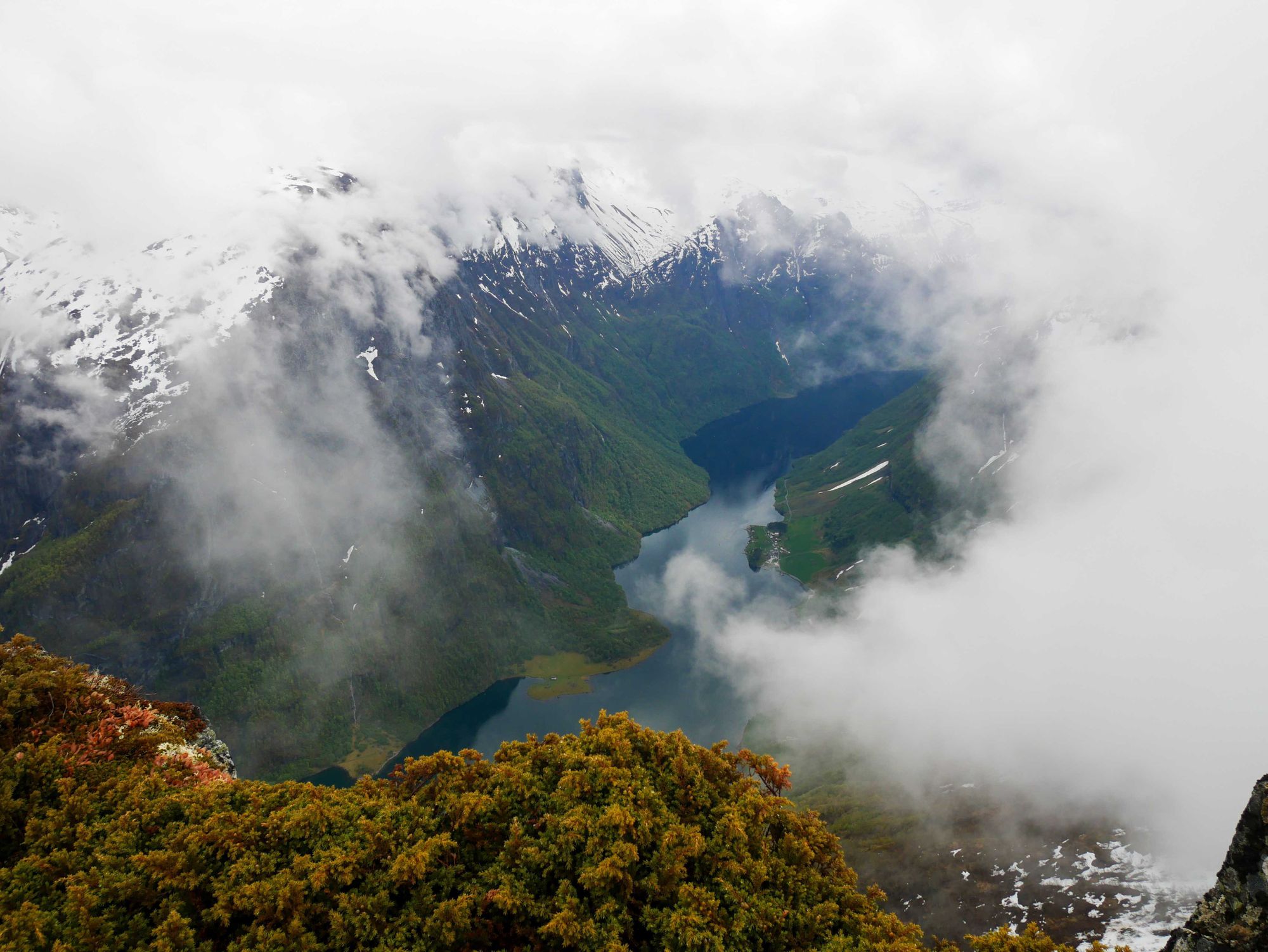 The view of the fjords from the top of Breiskrednosi