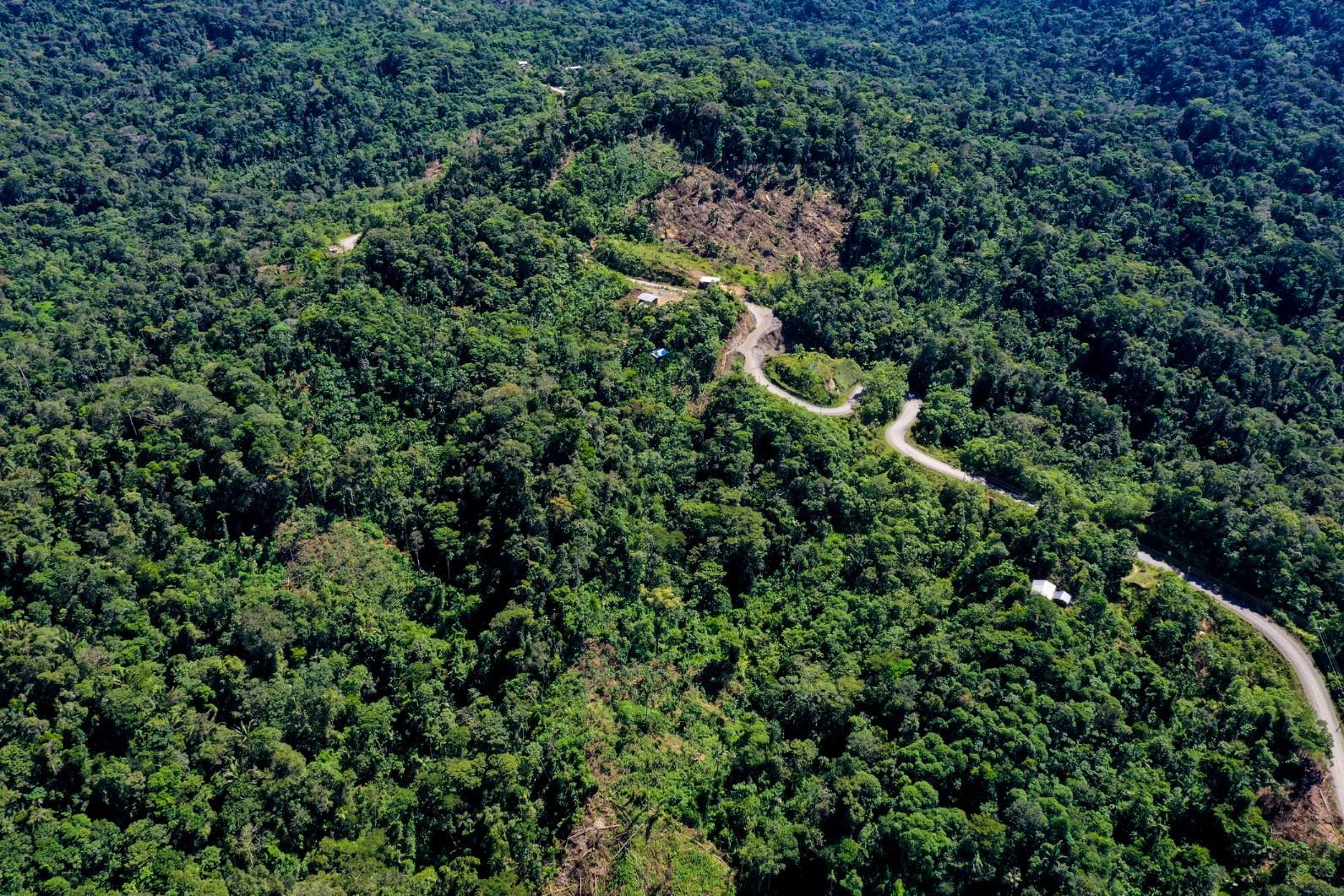 A wide-spanning rainforest in Peru, a country which is covered by jungle.