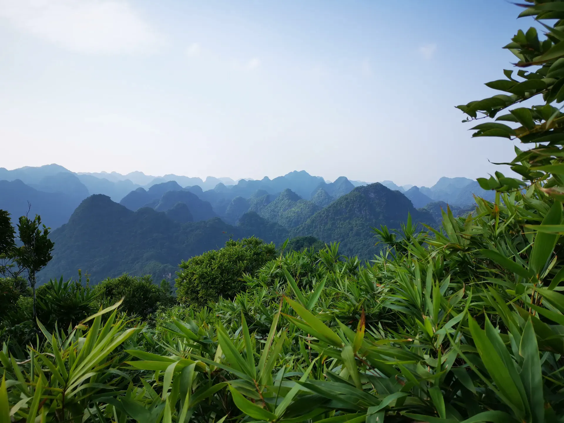 The verdant, mountainous landscape of Cat Ba Island, Vietnam