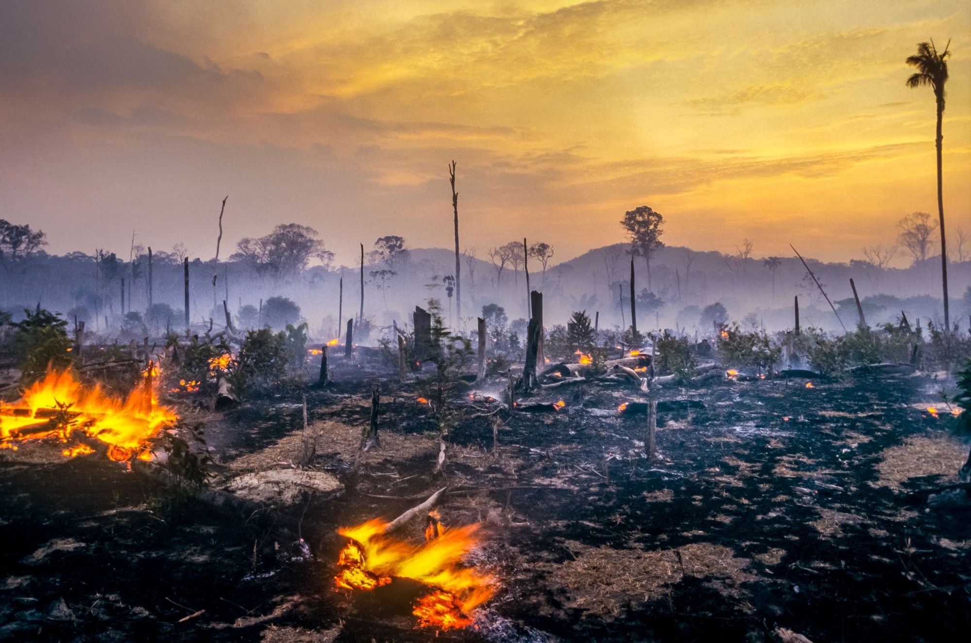 A forest fire in the Amazon rainforest.