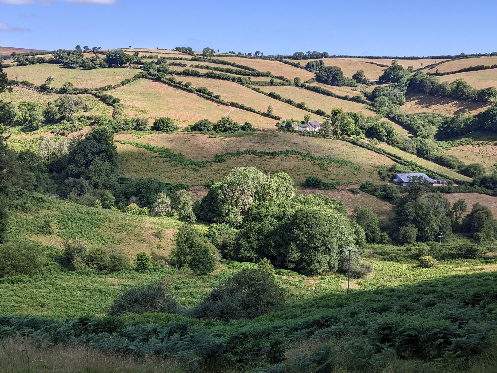 An idyllic pastoral landscape in Exmoor.