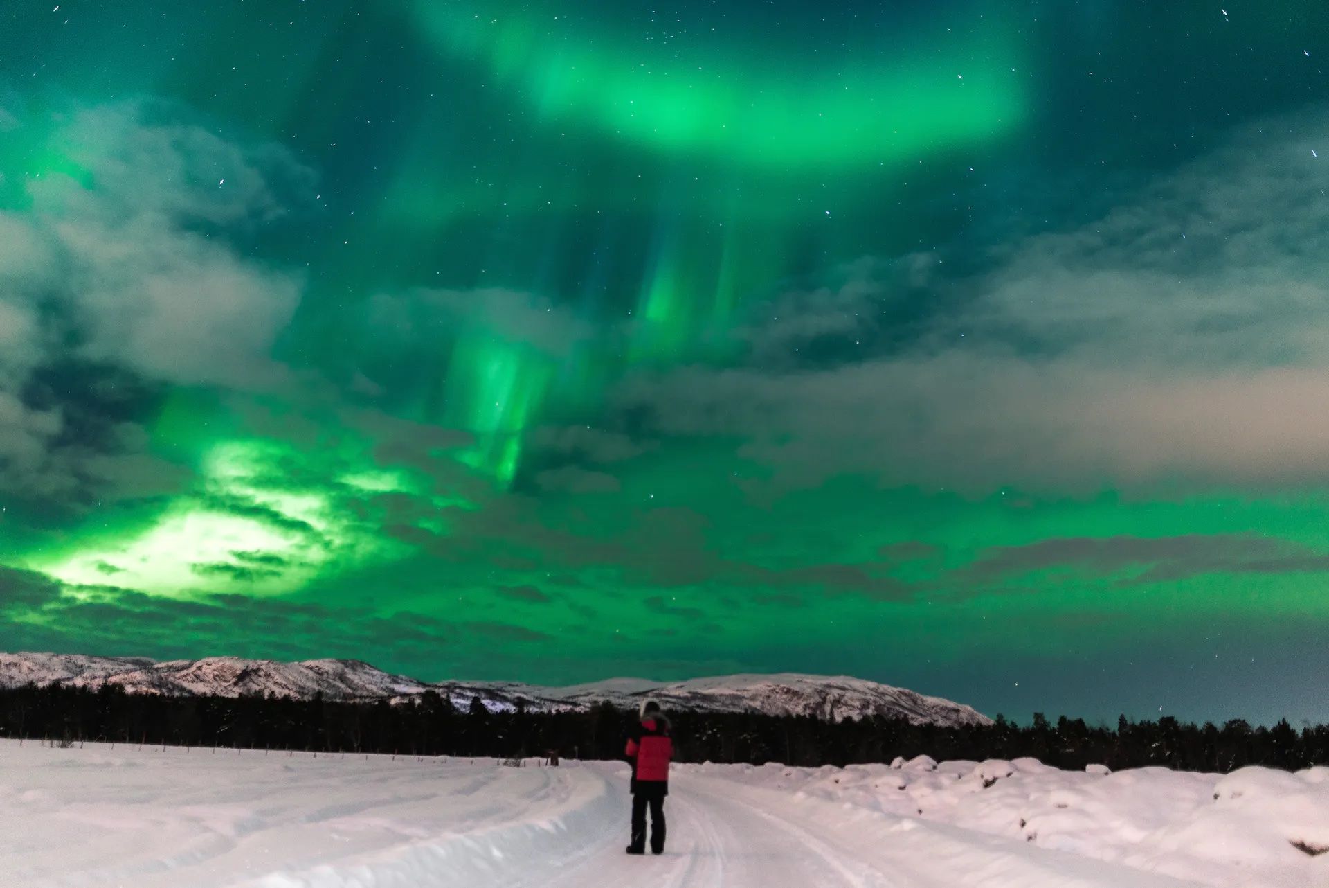 A hiker looks up at the northern lights while walking across a snowy landscape.