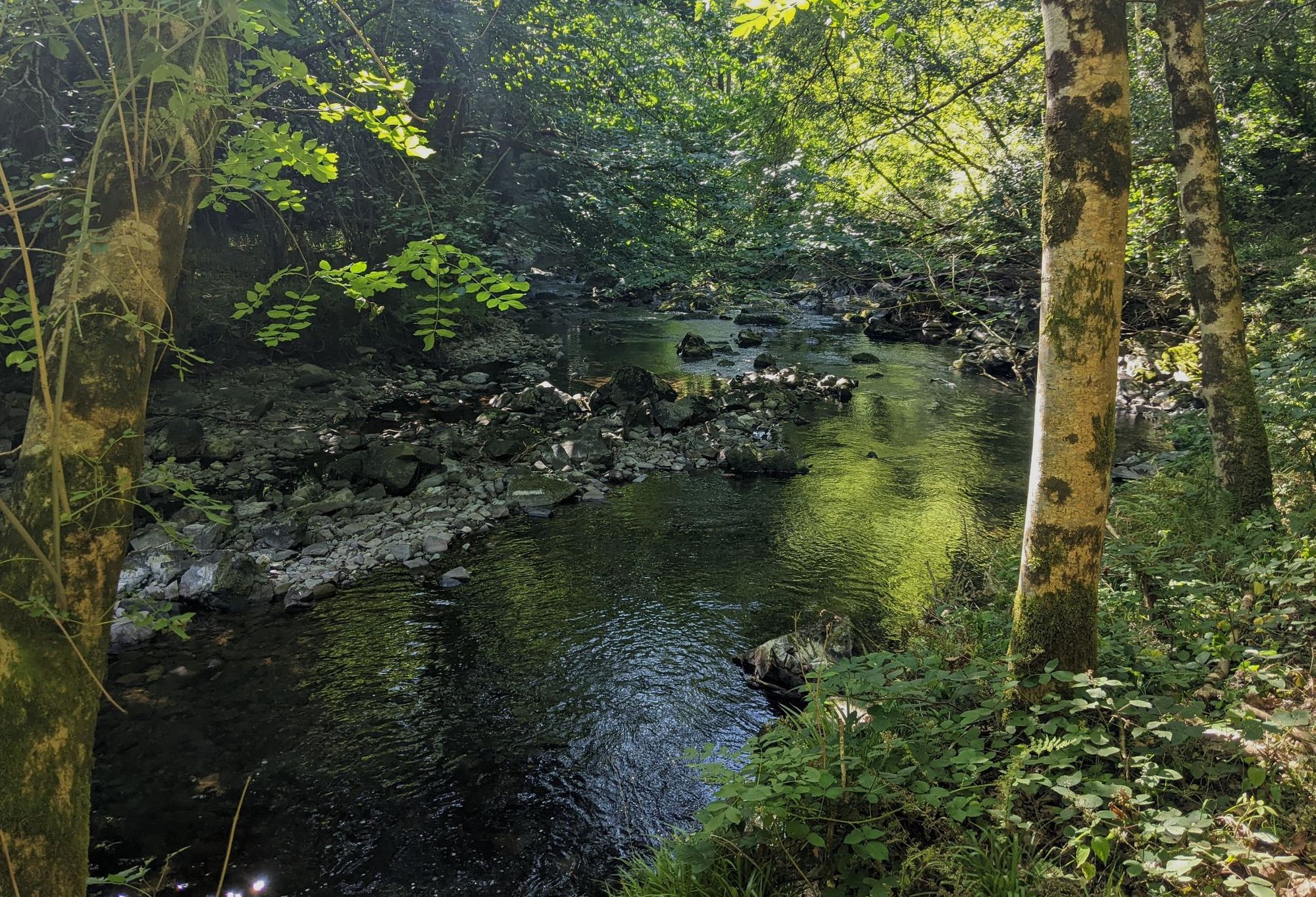 A quiet river in Exmoor