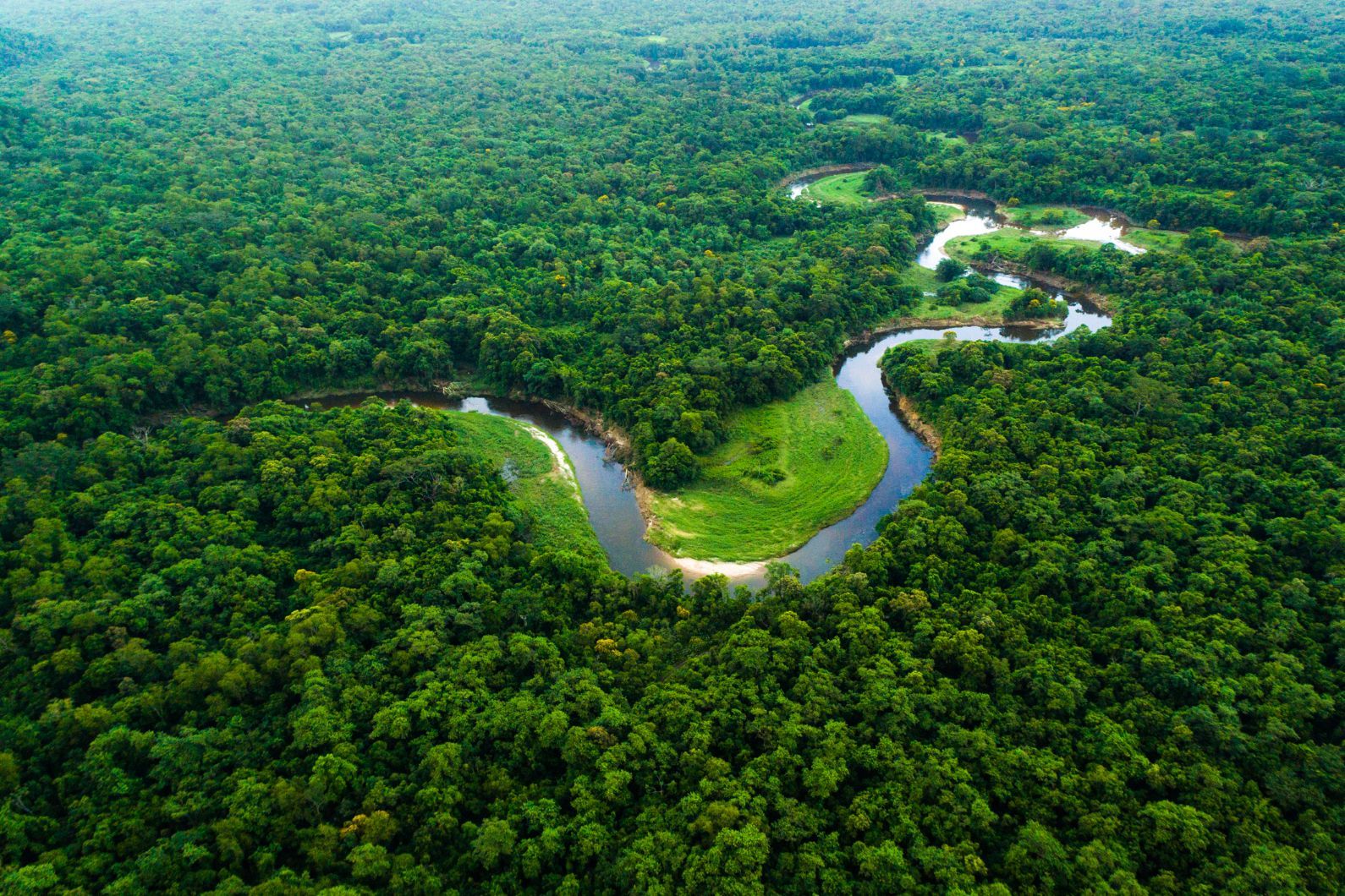 The Amazon river winds through dense rainforest