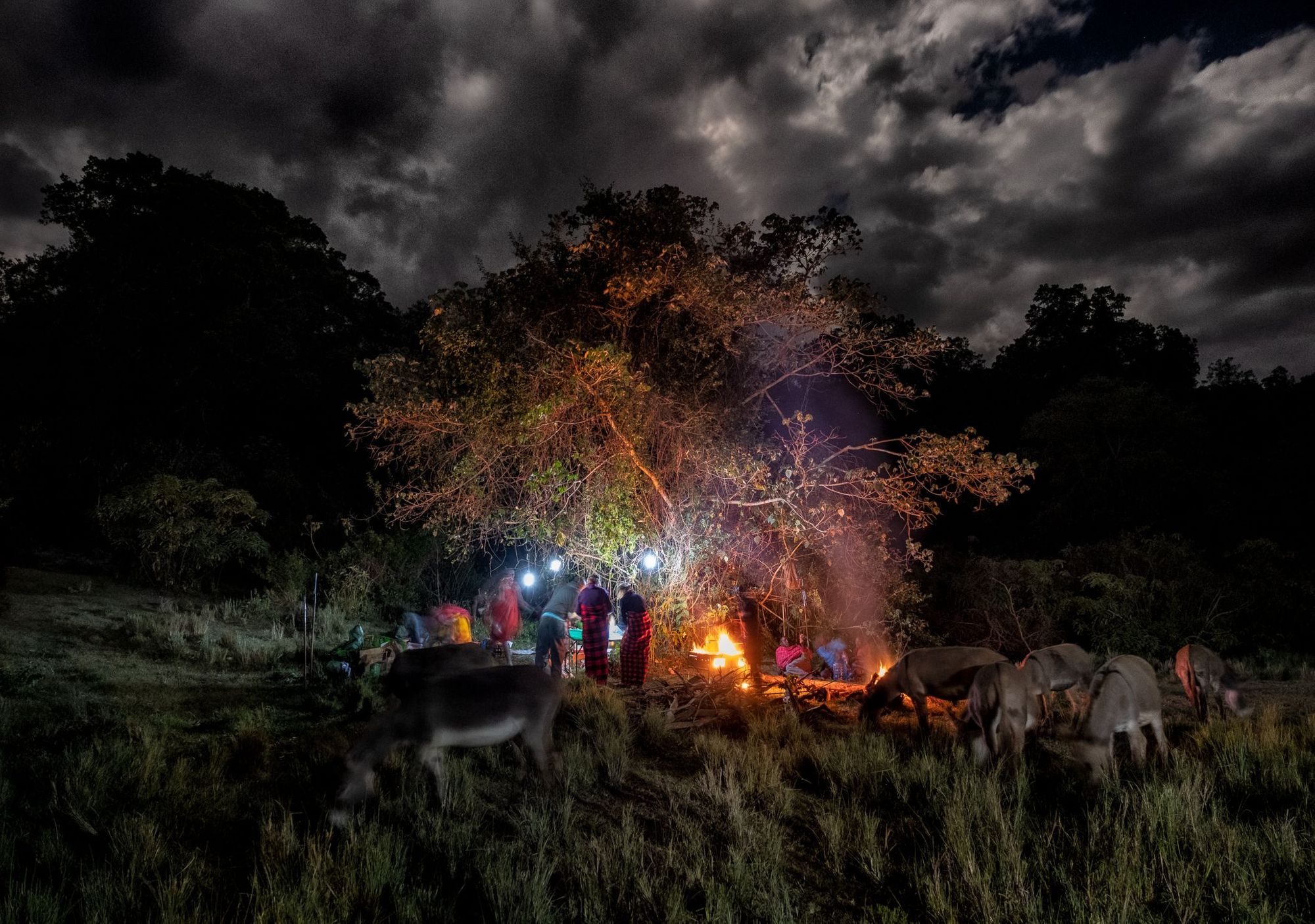 Night around the campfire in the Loita Hills, where stories are told as the darkness descends. Photo: Much Better Adventures