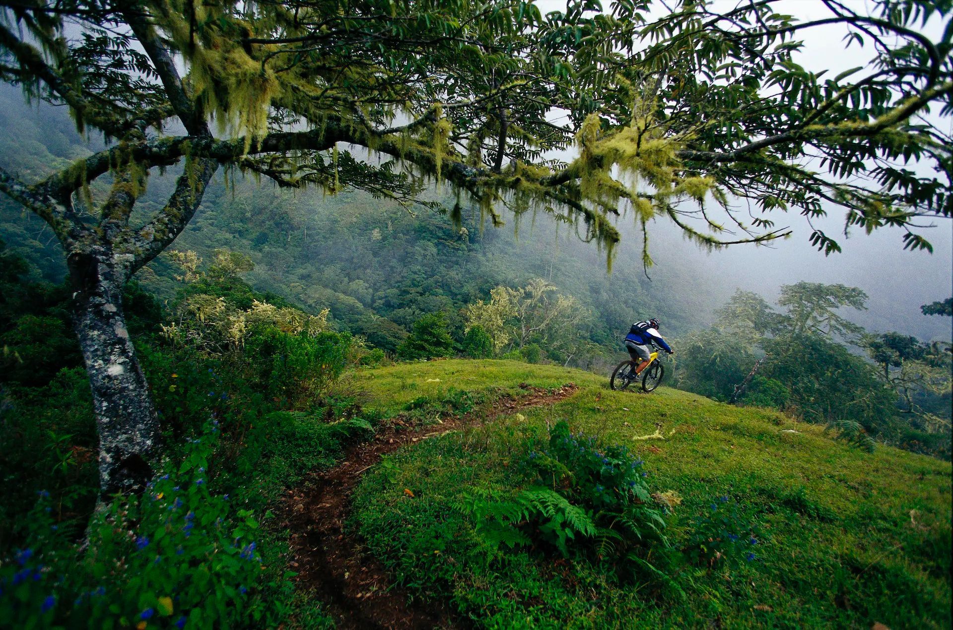 A cyclist on a trail in Costa Rica's rainforest.