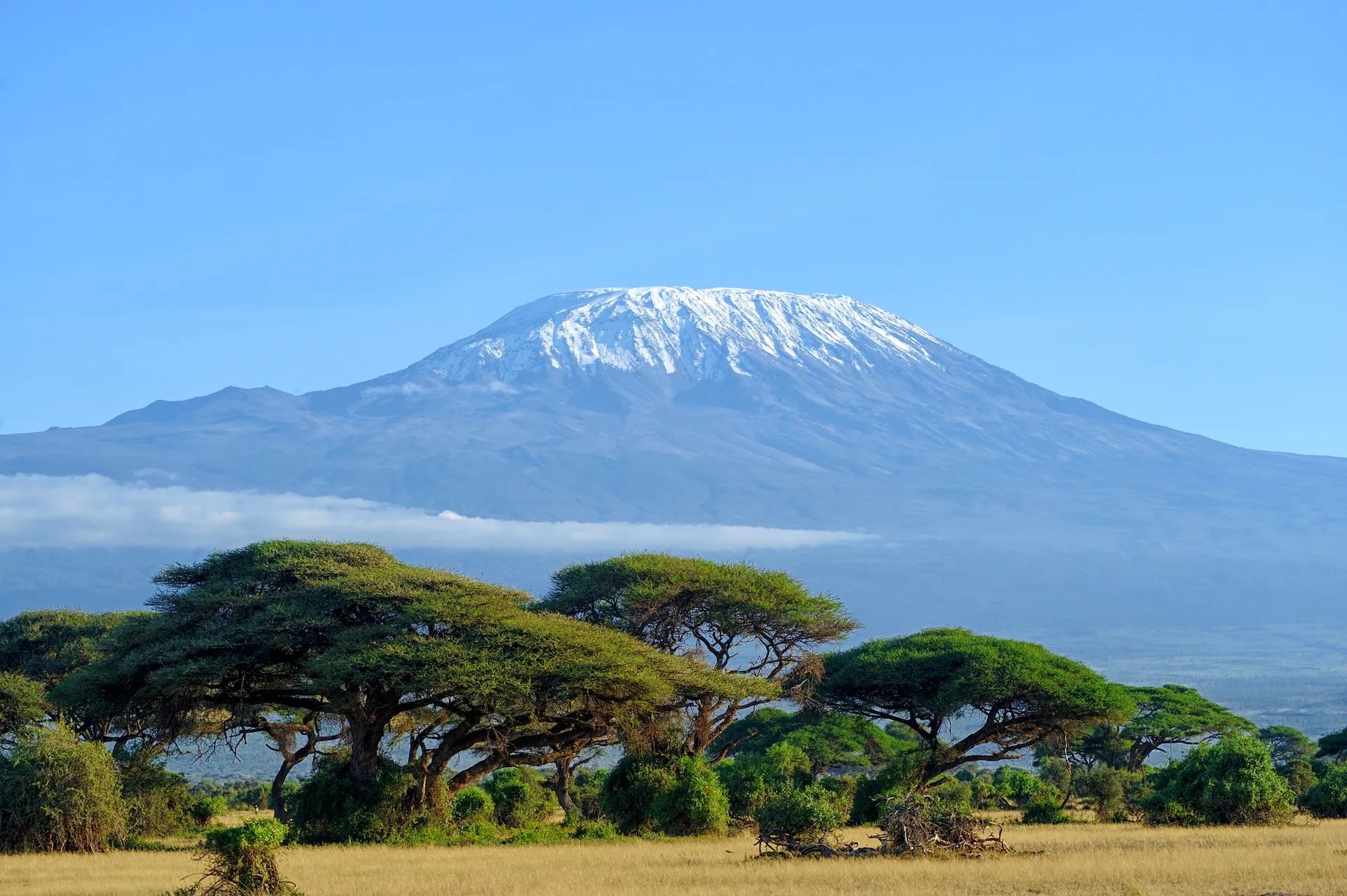 Mount Kilimanjaro, with acacia trees in the foreground.