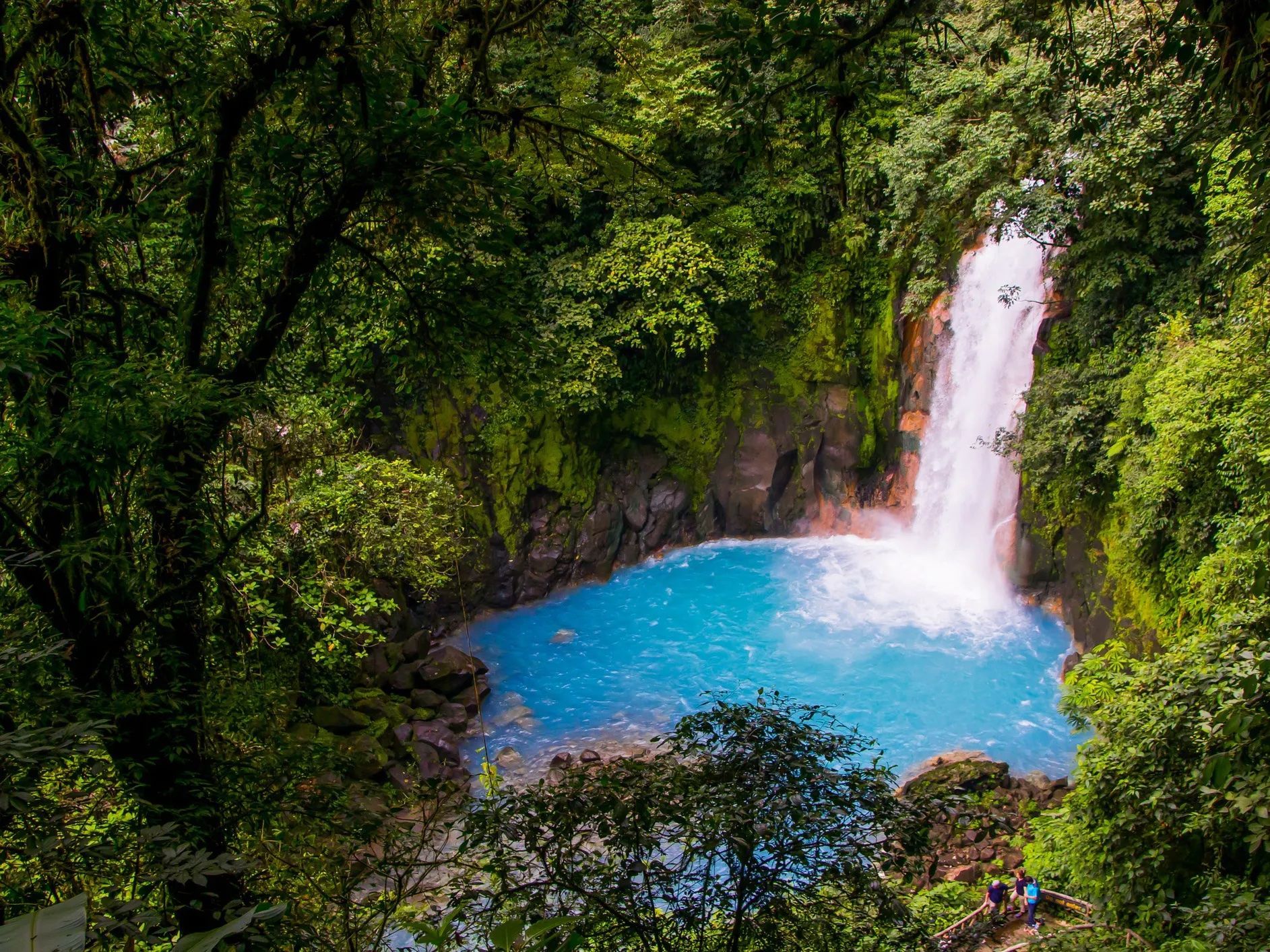 One of the startling blue pools in Tenorio National Park, Costa Rica, with a high waterfall.