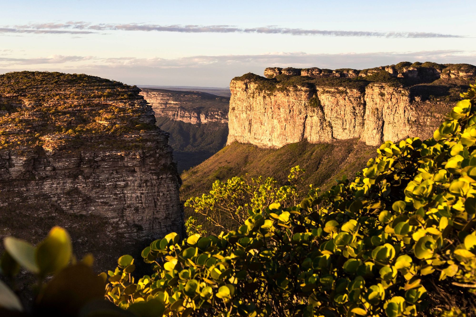 The cliffs visible on the Vale do Pati, drenched in yellow light. Photo: Getty