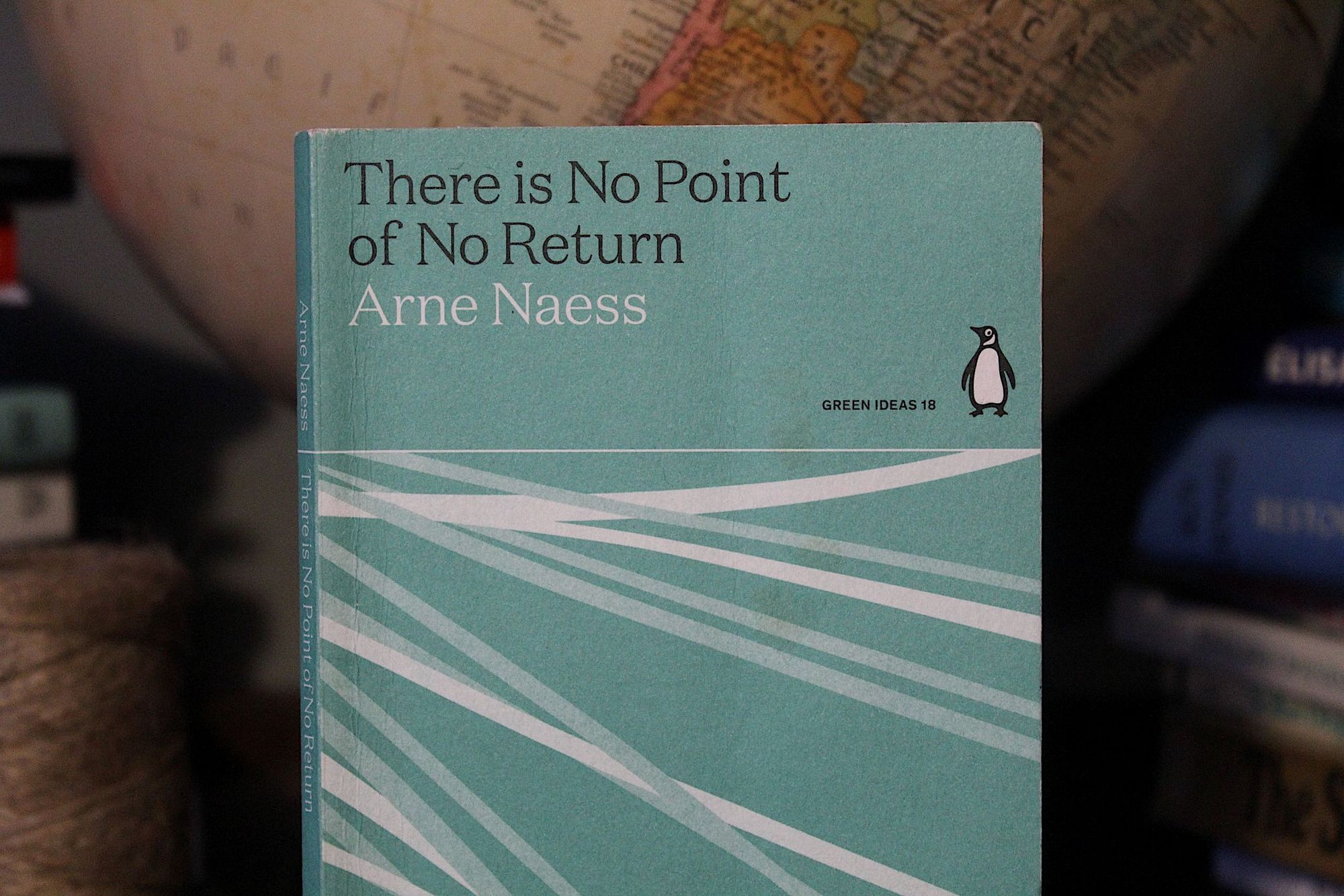 A book portrait of There is No Point of No Return by Arne Næss