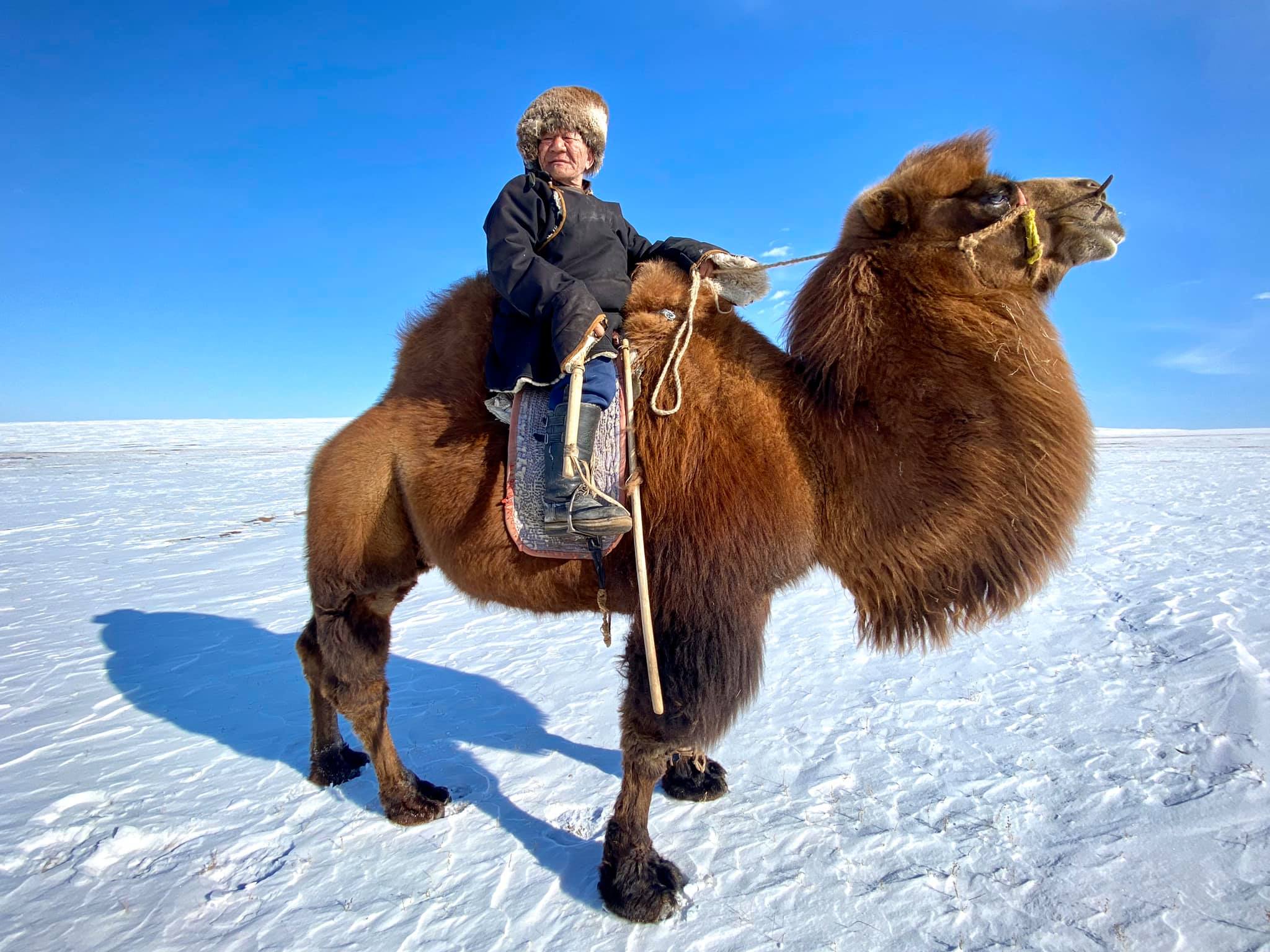 A Mongolian man sits on a bactrian camel, surrounded by snow.
