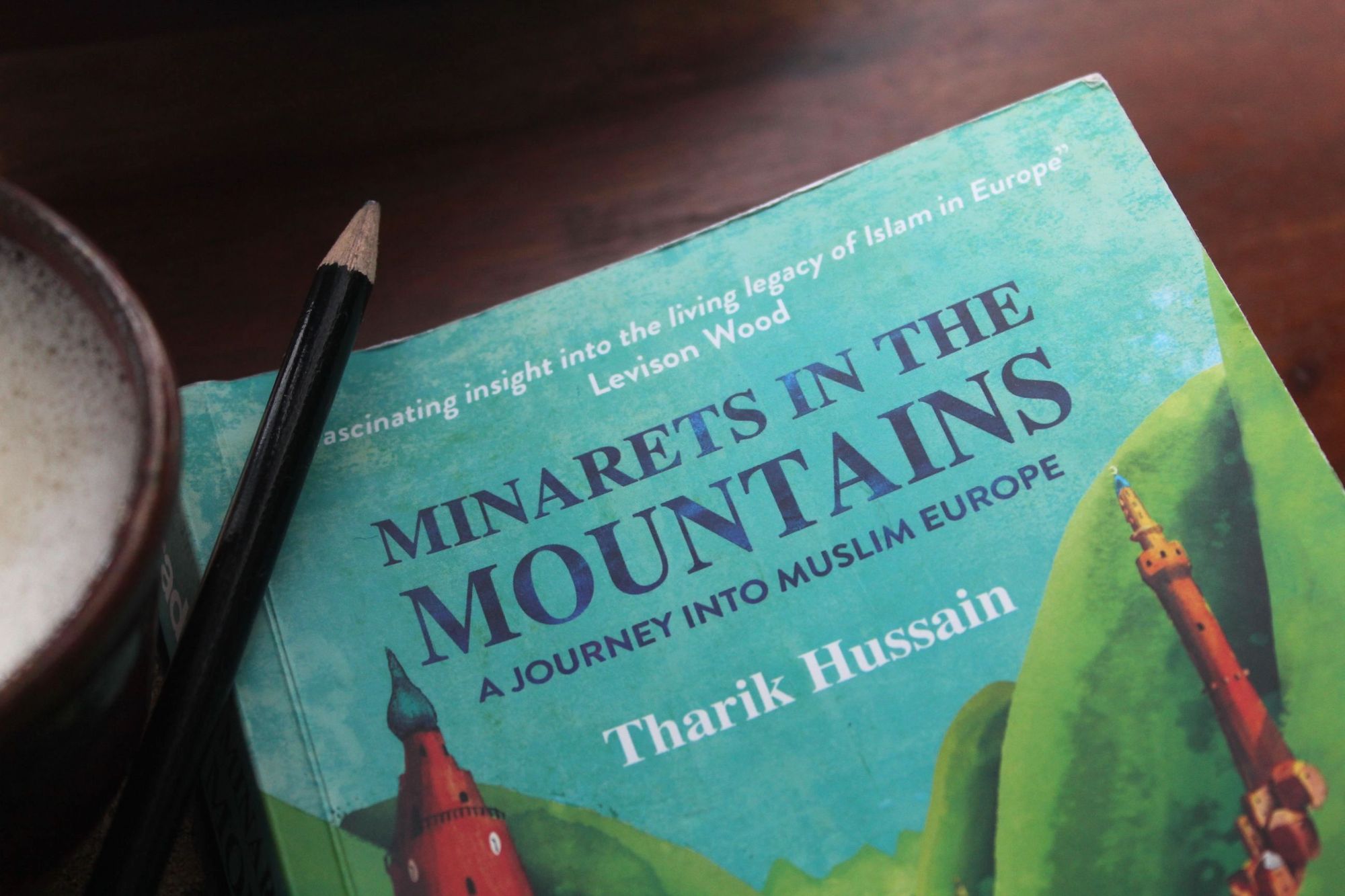 Minarets in the Mountains book