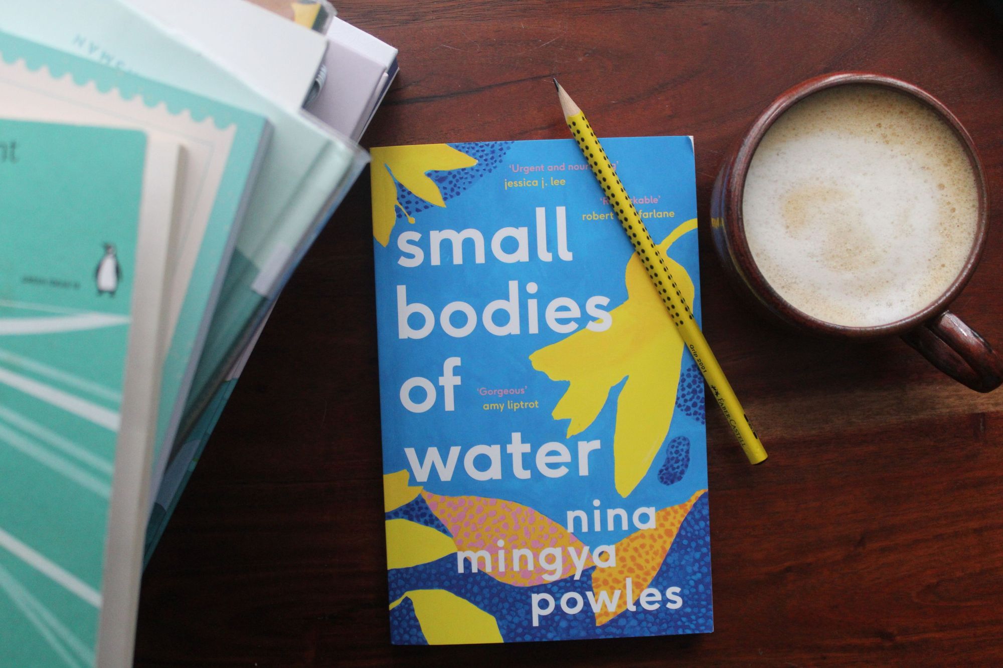 A book portrait of Small Bodies of Water by Nina Mingya Powles