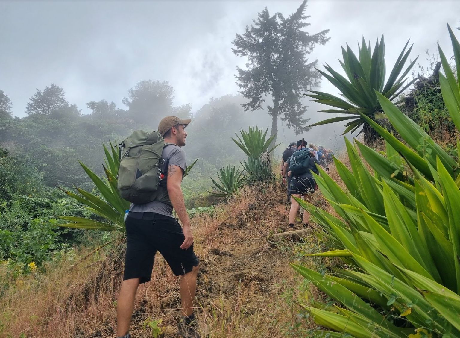 Hikers in the forests of Fogo, an island of Cape Verde
