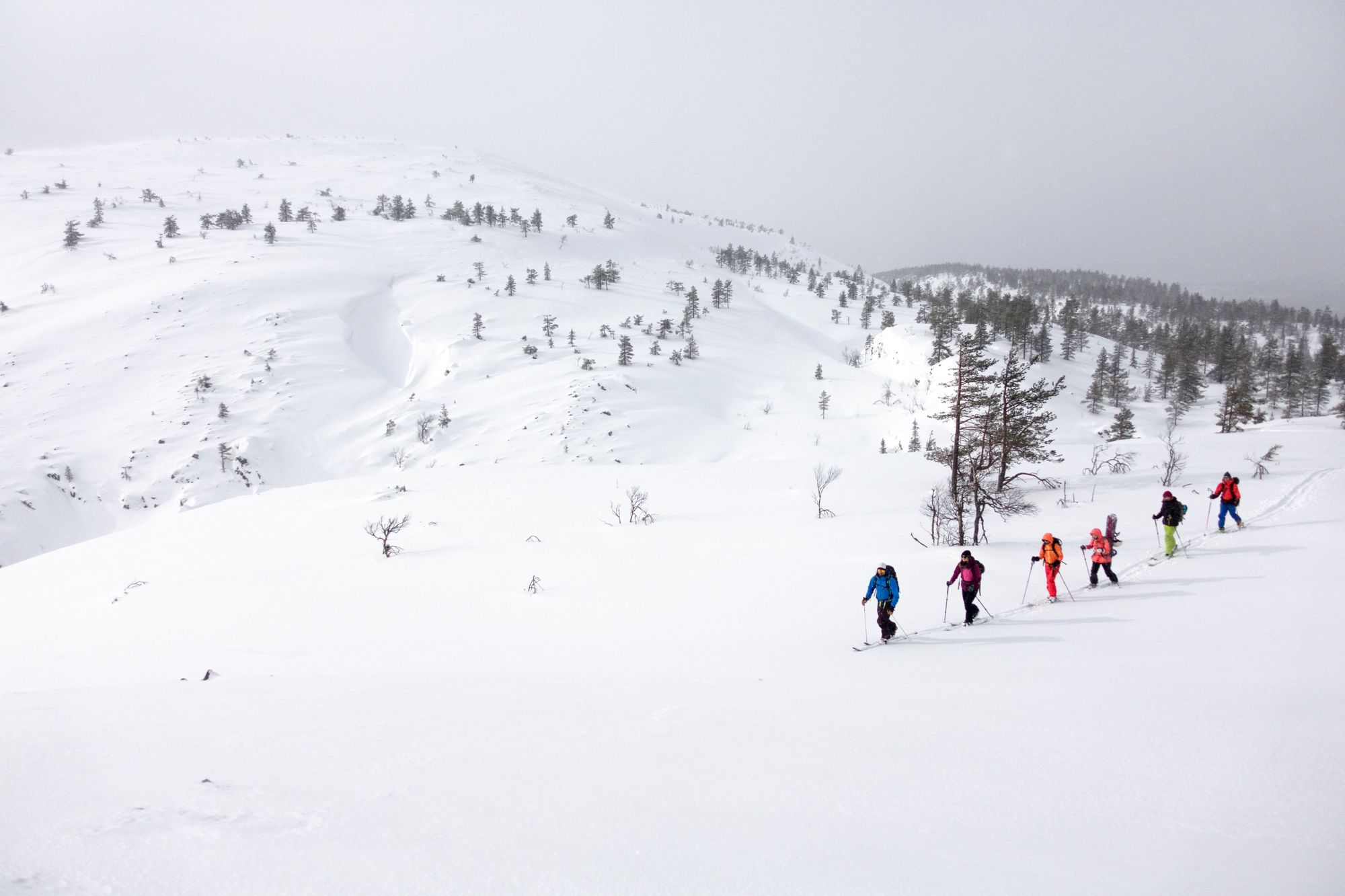 Nordic skiing makes it possible to access remote winter landscapes, like this view in Finnish Lapland. Photo: Hendrik Morkel/Unsplash