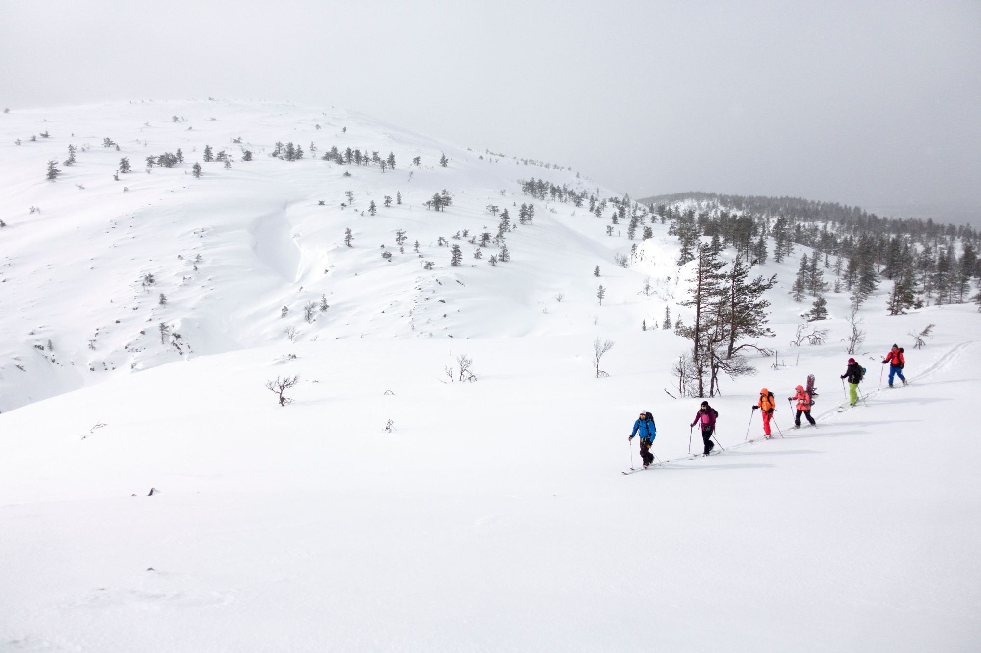 Nordic skiing makes it possible to access remote winter landscapes, like this view in Finnish Lapland. Photo: Hendrik Morkel/Unsplash