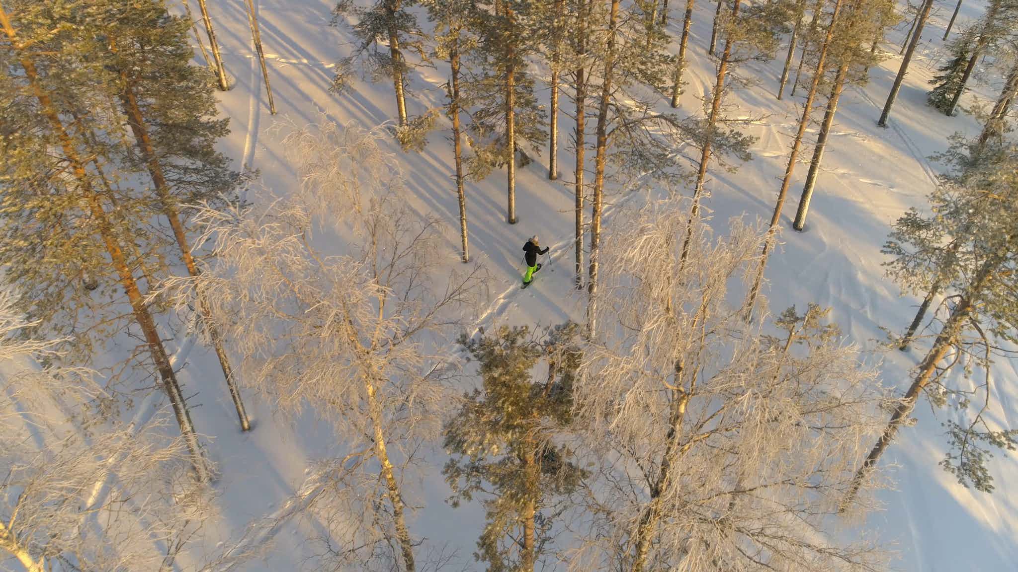 An idyllic snowshoeing adventure through the forests of Finnish Lapland. Photo: Bliss Adventures
