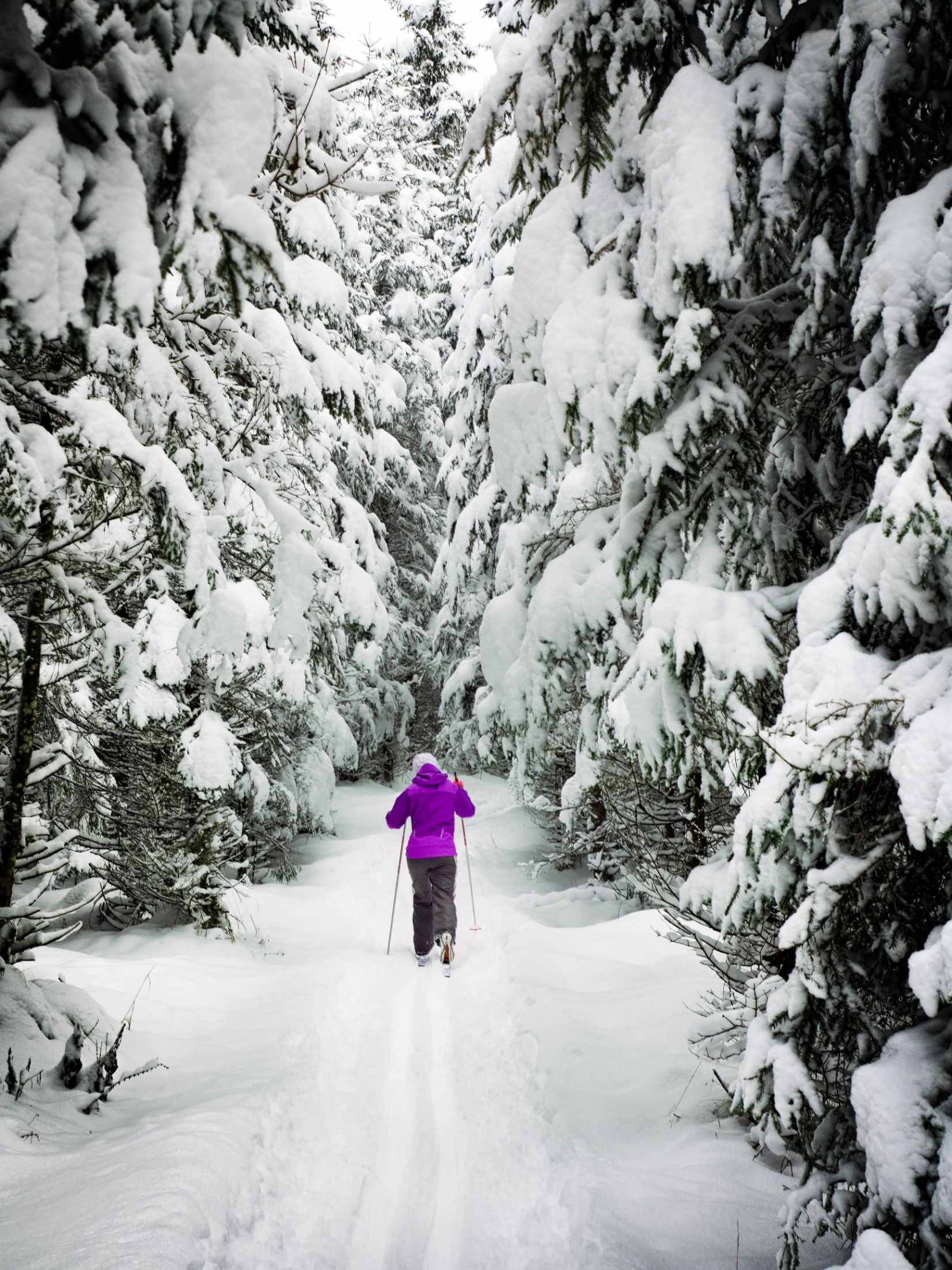 There's nothing like a Scandinavian forest covered in snow to set the imagination dreaming. Photo: Simon Berger