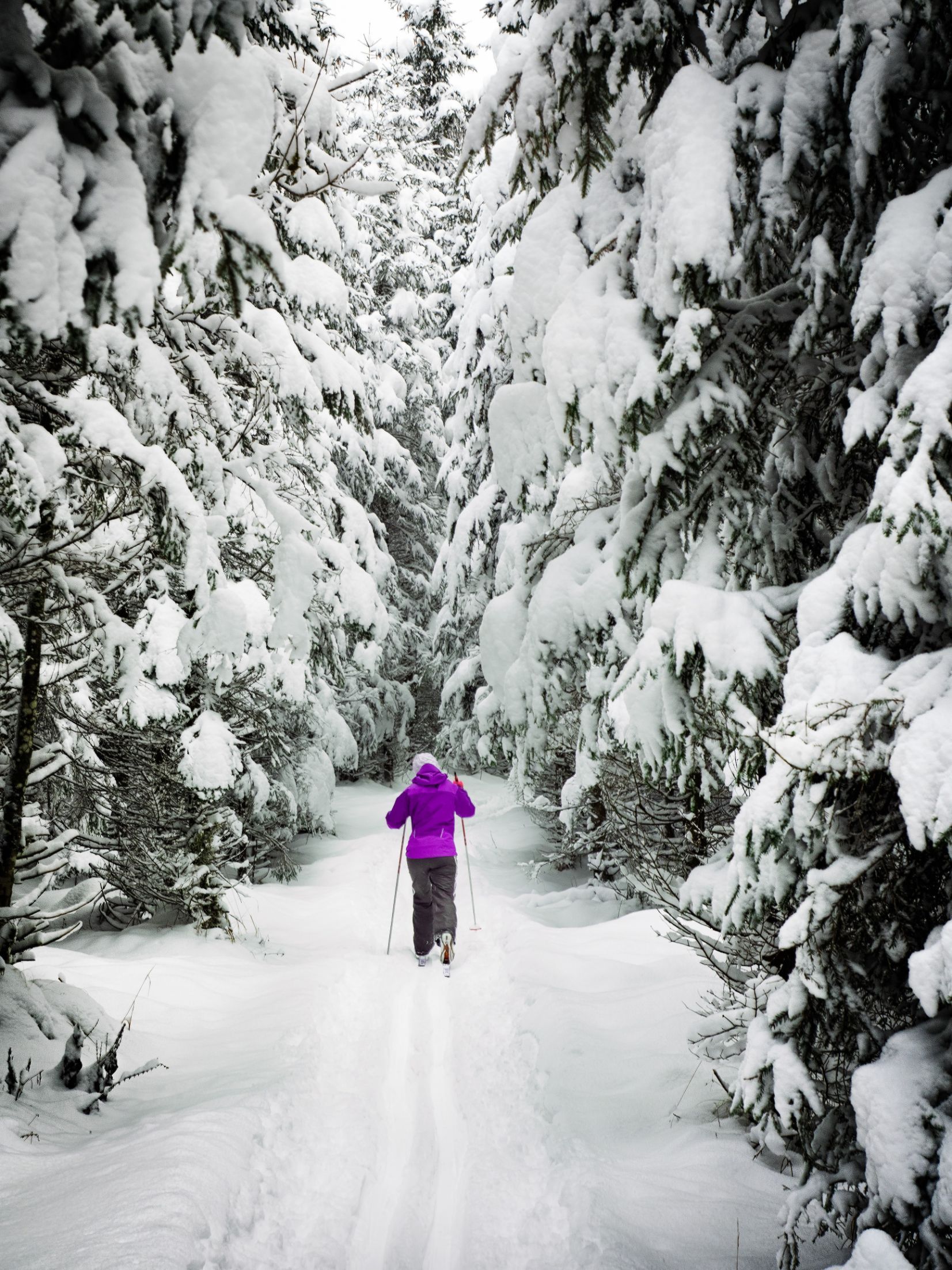 There's nothing like a Scandinavian forest covered in snow to set the imagination dreaming. Photo: Simon Berger