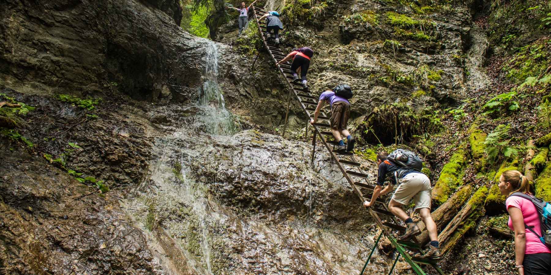 Climbing a ladder in Slovakia's Paradise National Park