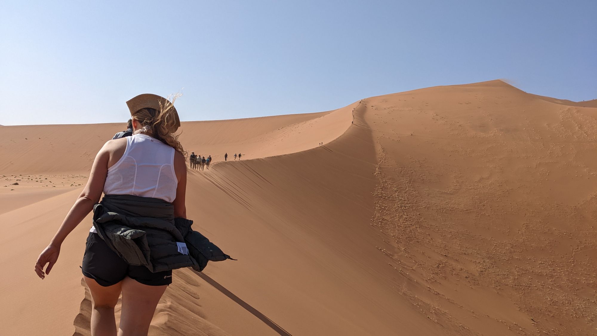 Hikers on the peak of a dune, Namibia.